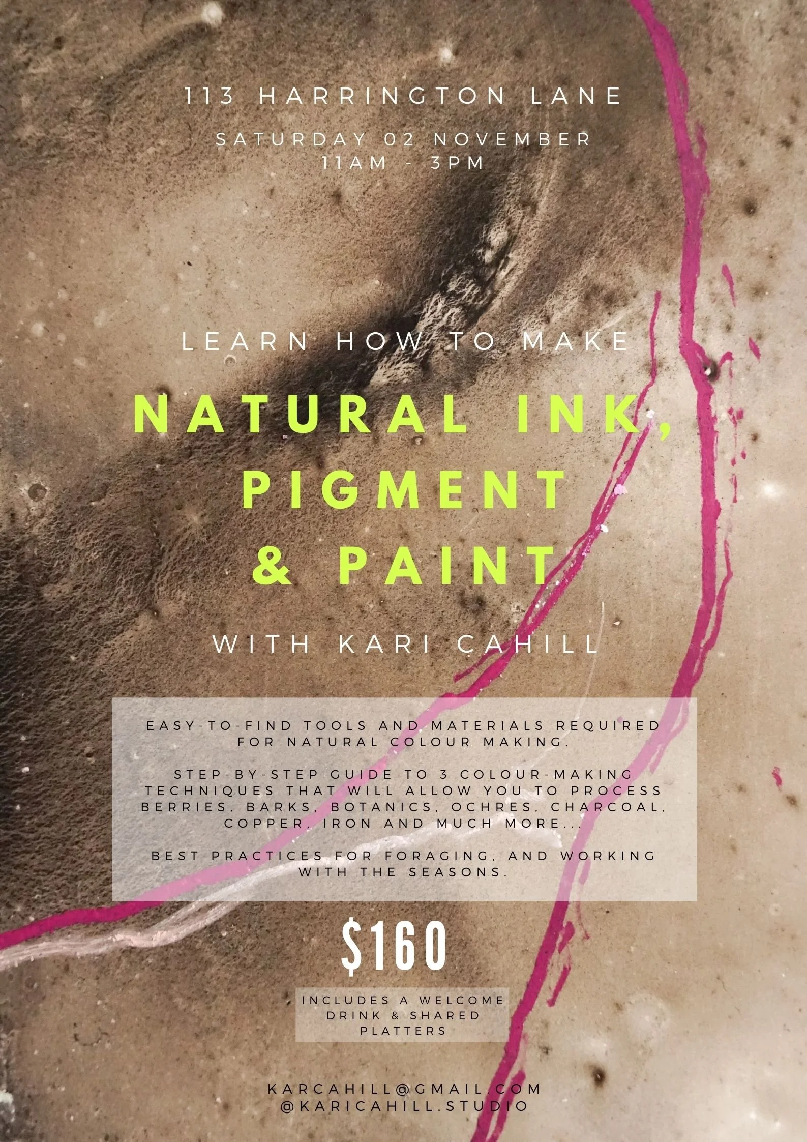 Natural Pigment, Paint and Ink WORKSHOP.jpg