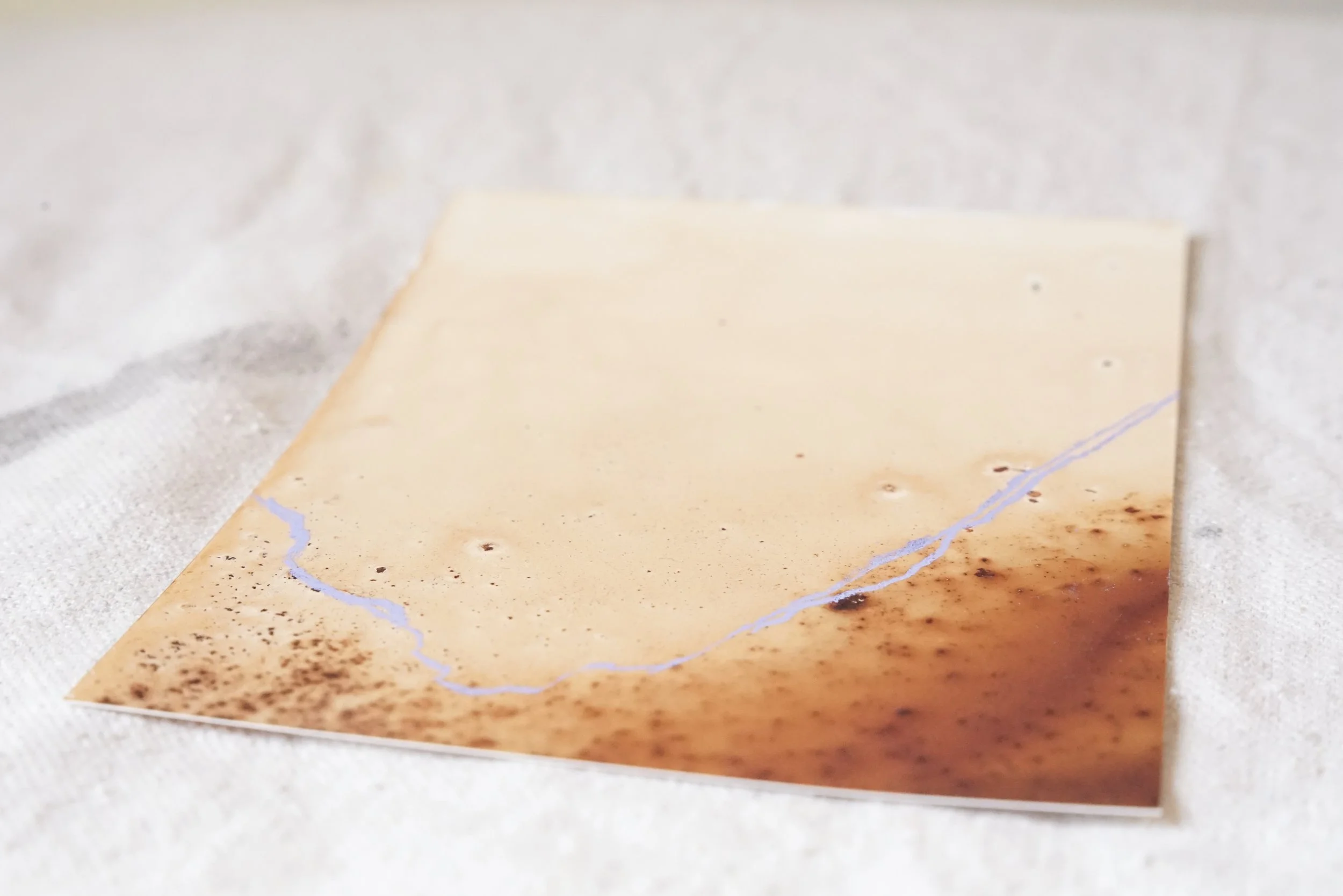 Way, Sway - Gum Bark Ink & Pastel - 2024116.jpg