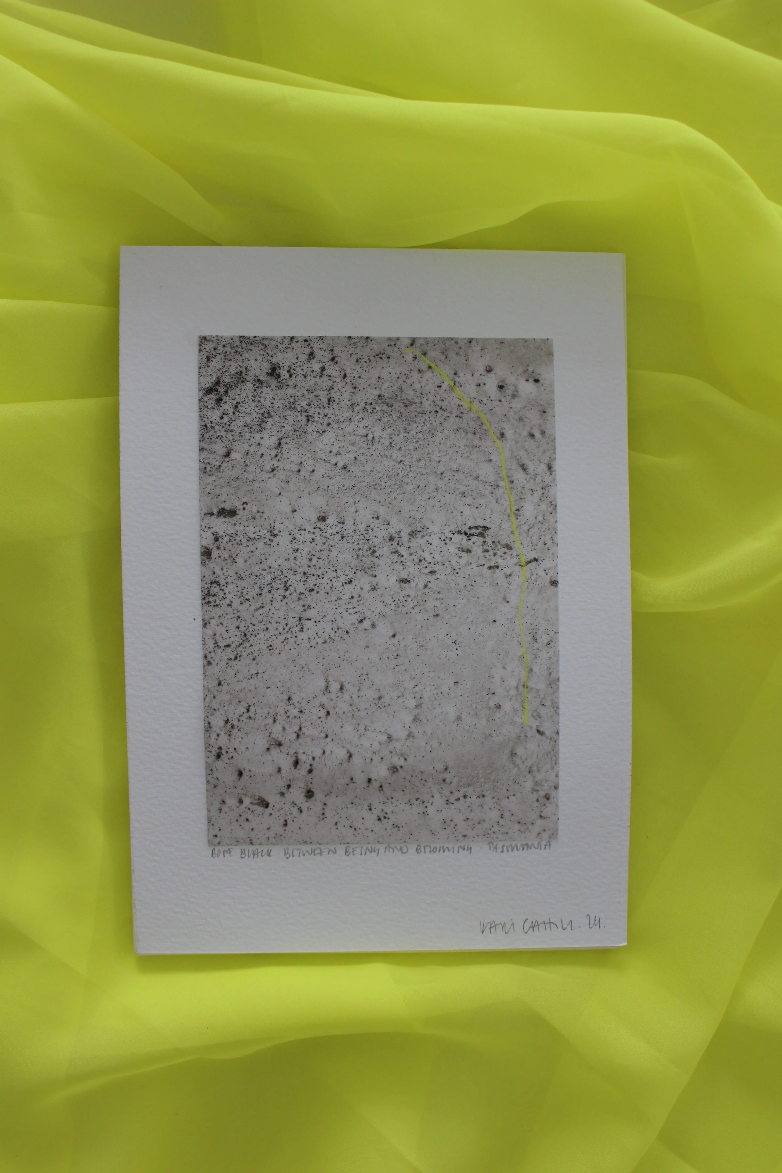 Kari Cahill - A5 SINGLEIMG_0182.JPG