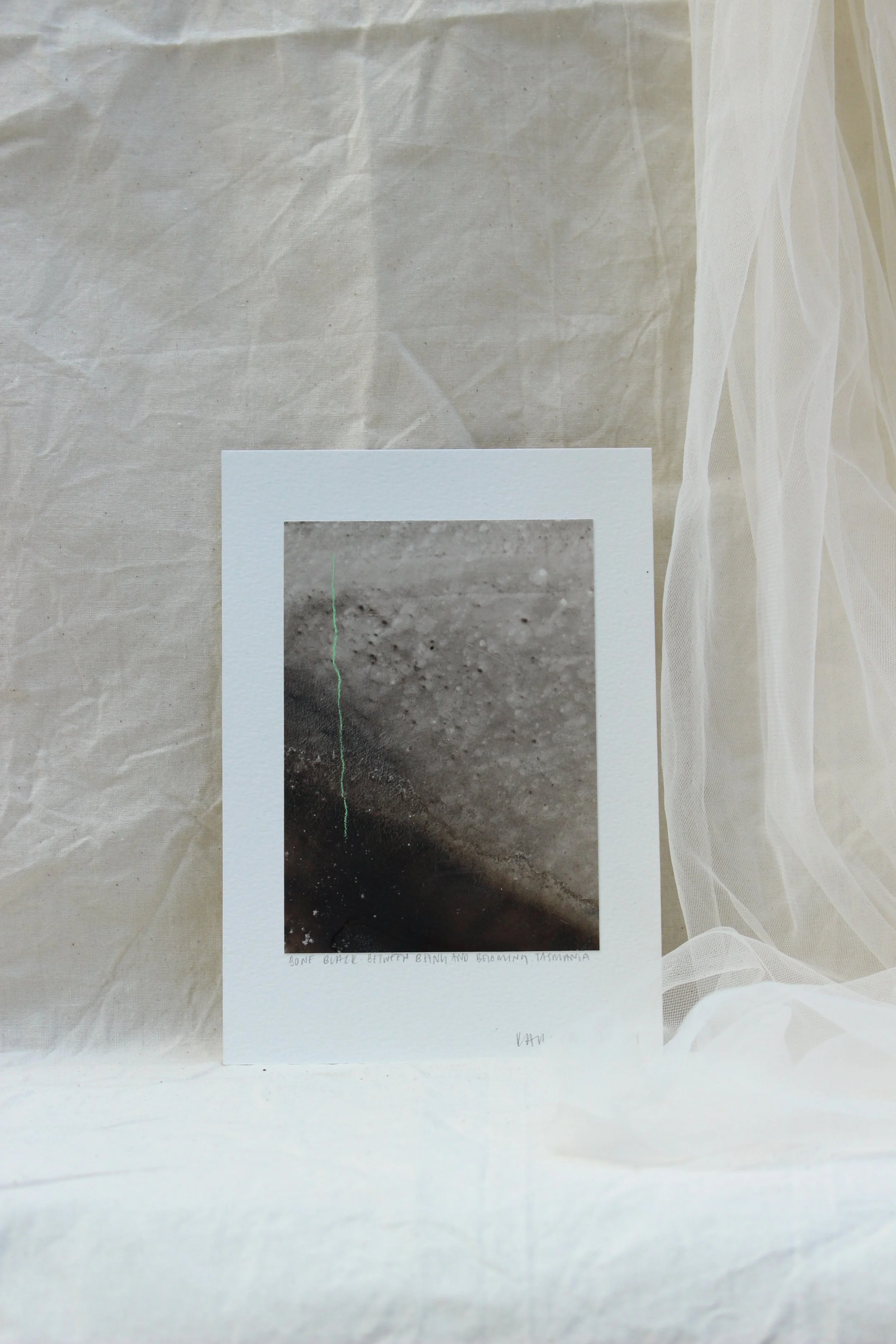 1 - Riser -  Between Being and Becoming - Bone Balck on Yupo - 210 x 148mm - Kari Cahill .JPG