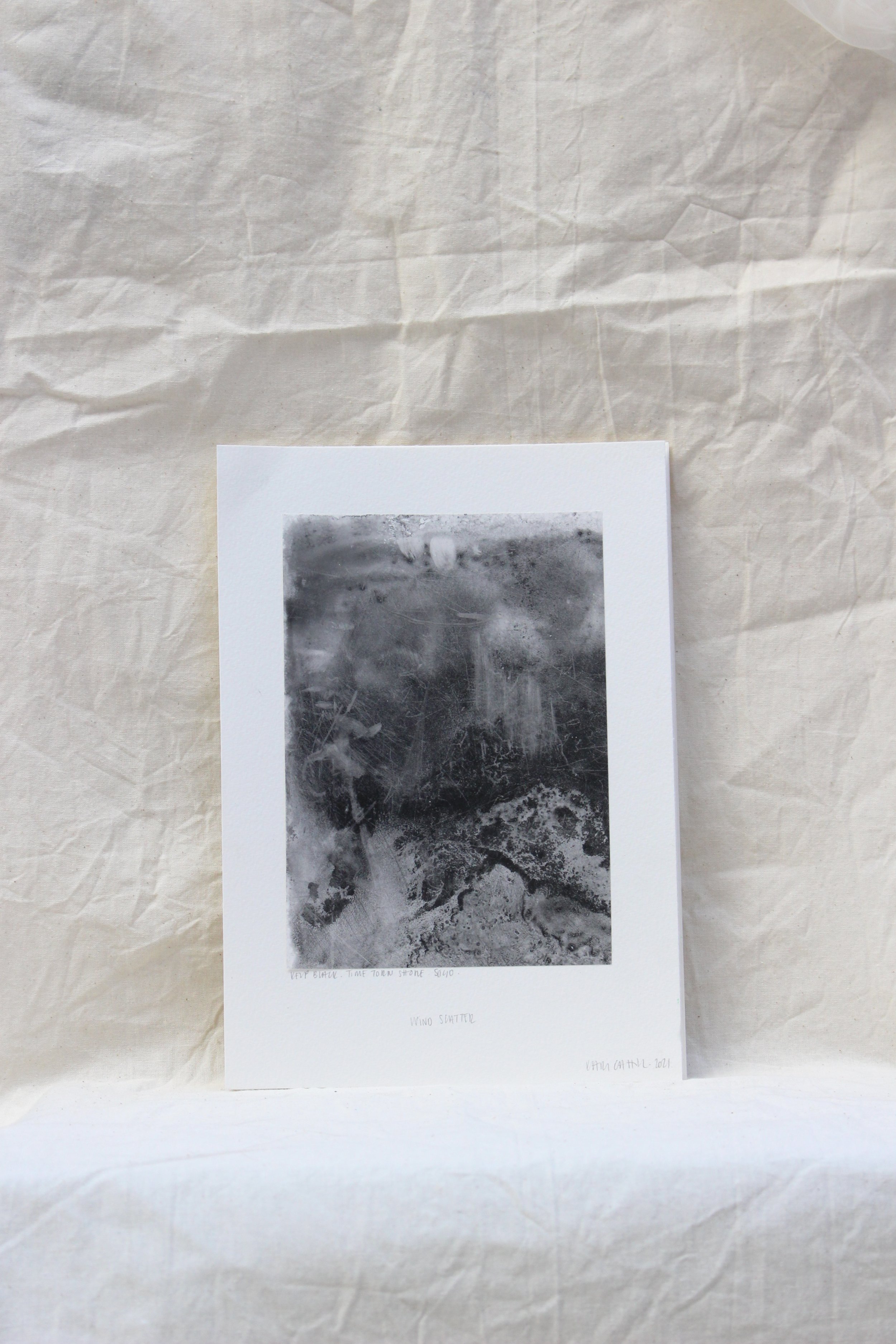 Wind Scatter- Kelp Black - 210 x 148.5 - 2022i.JPG