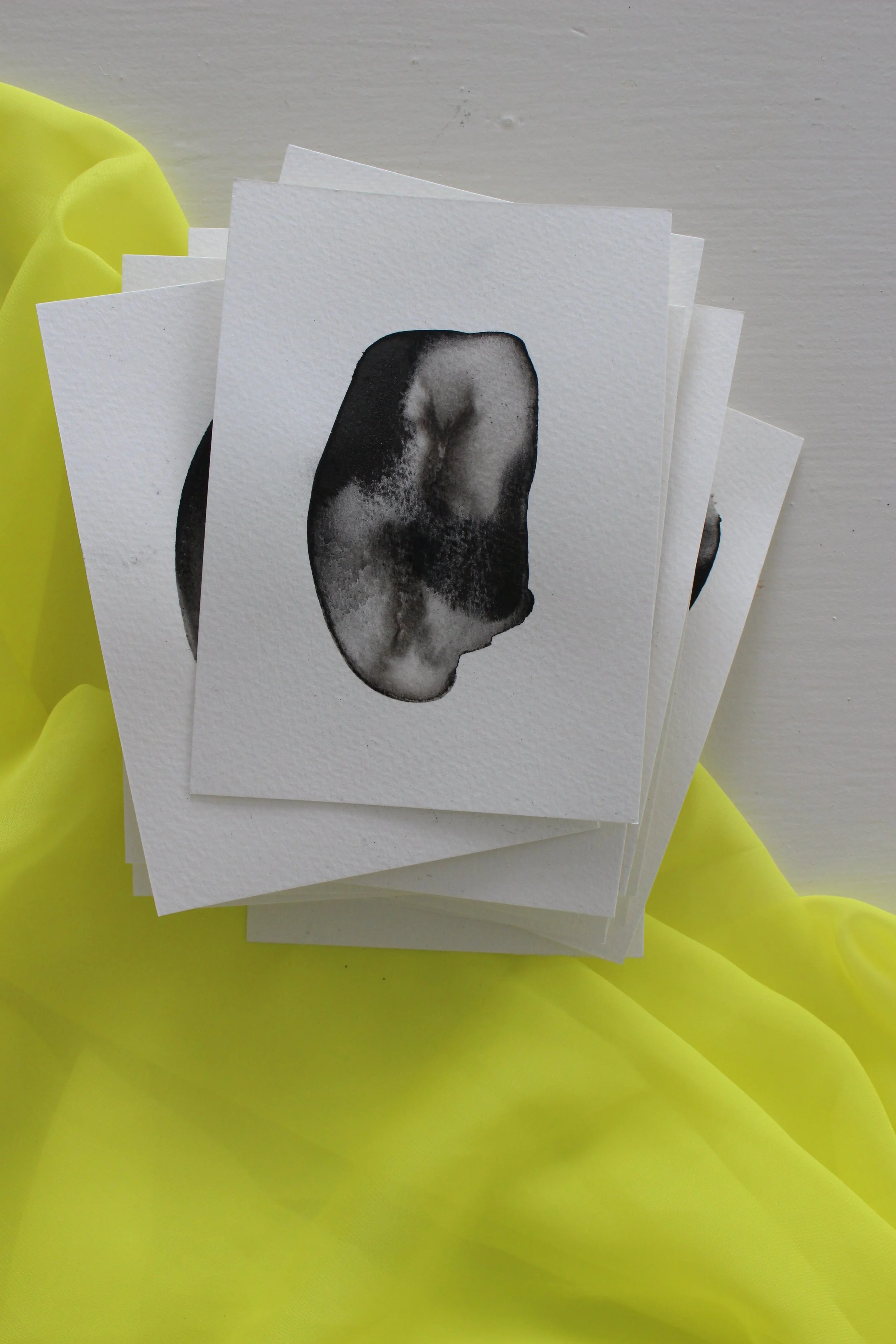 Kari Cahill - BLOTCHIMG_0204.JPG