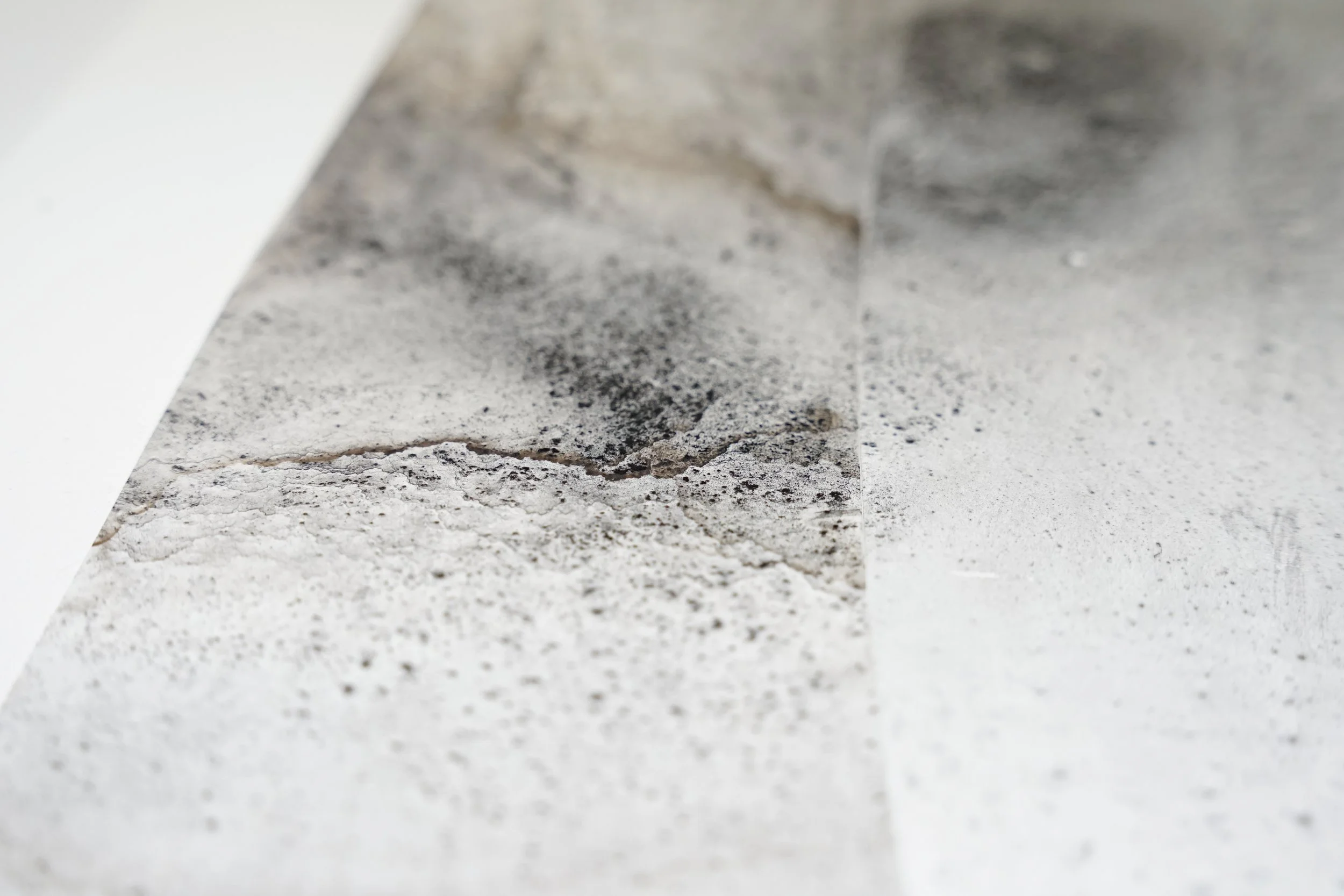 Ashen Brink Beyond - Charred Gum Bark & Iron Gum Ink - 420 x 297 - 2023 - 7.jpg