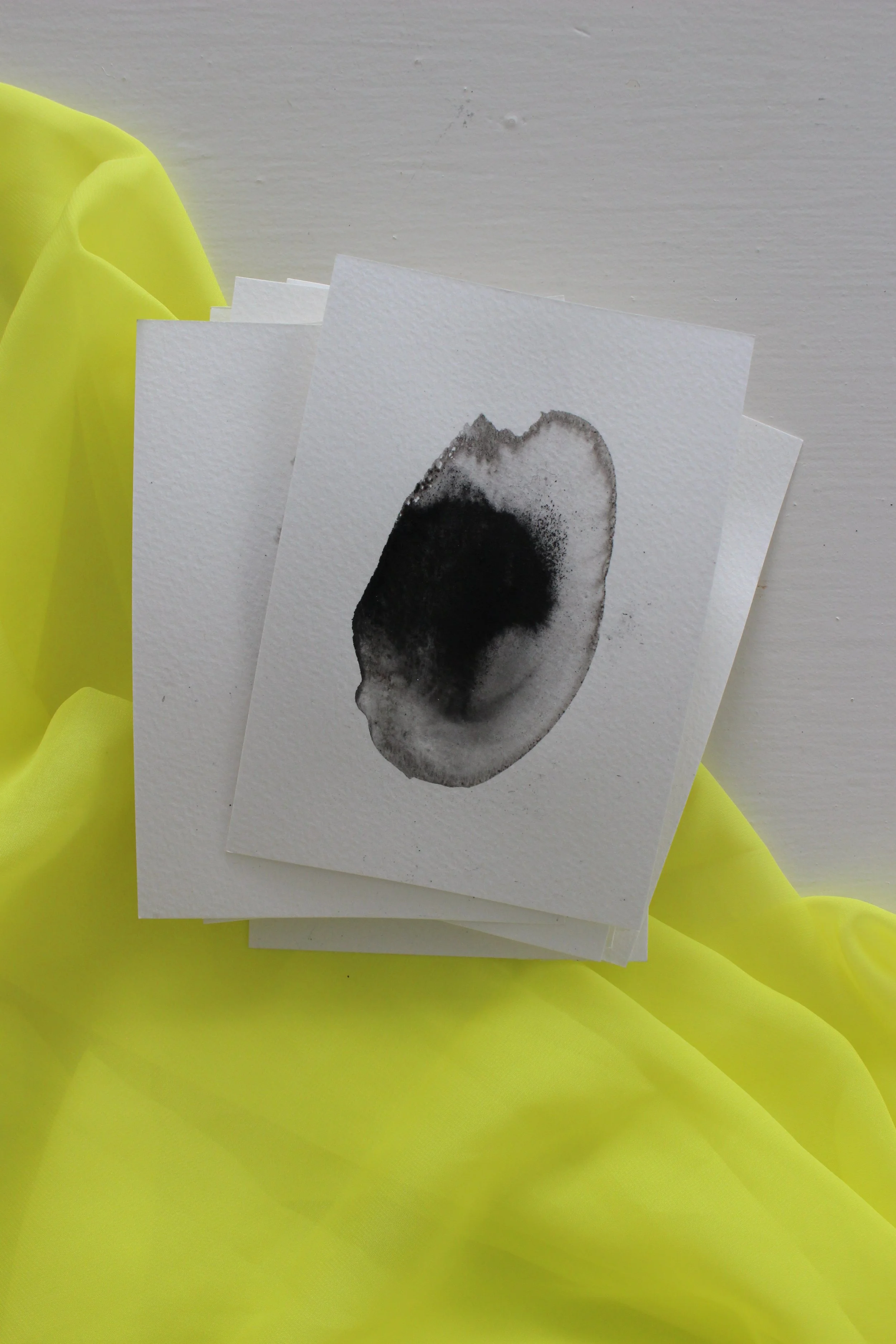 Kari Cahill - BLOTCHIMG_0197.JPG