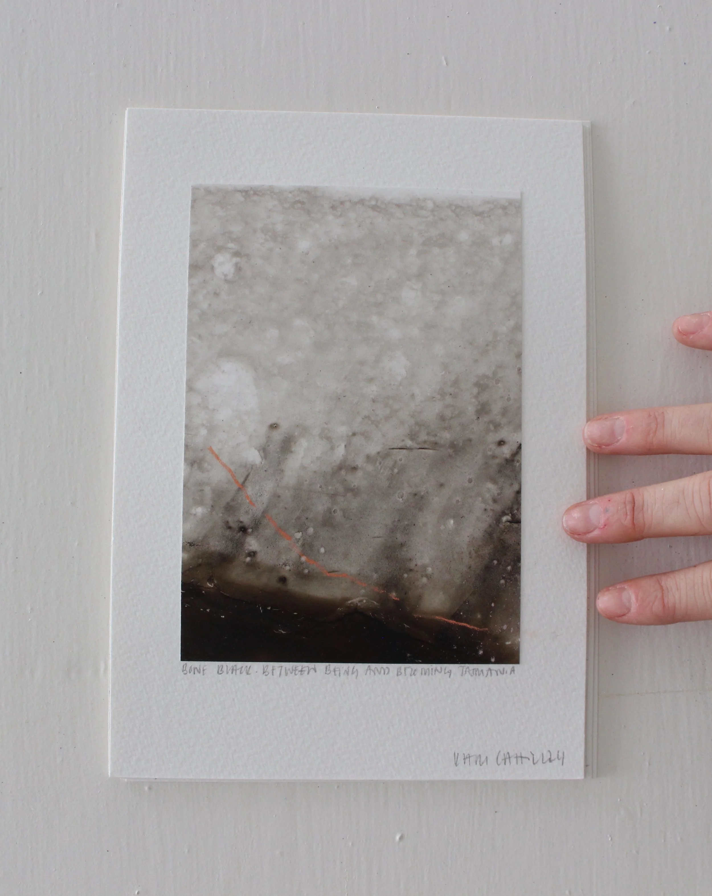 Kari Cahill - A5 HANDIMG_0220.jpeg