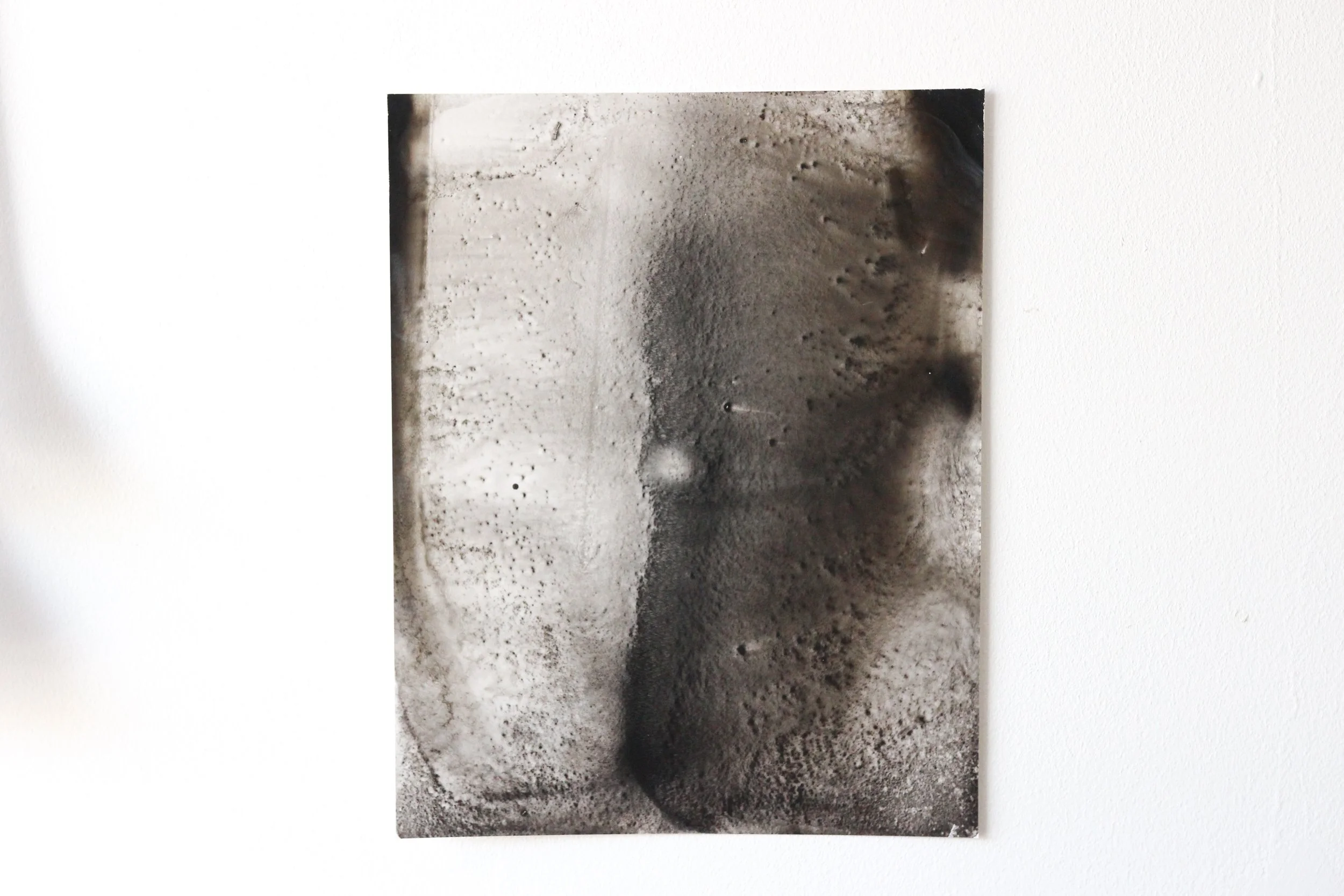 The Tide To Thrive- Bone Black & Liquid Iron on Yupo Substrate - 270 x 345i.jpg