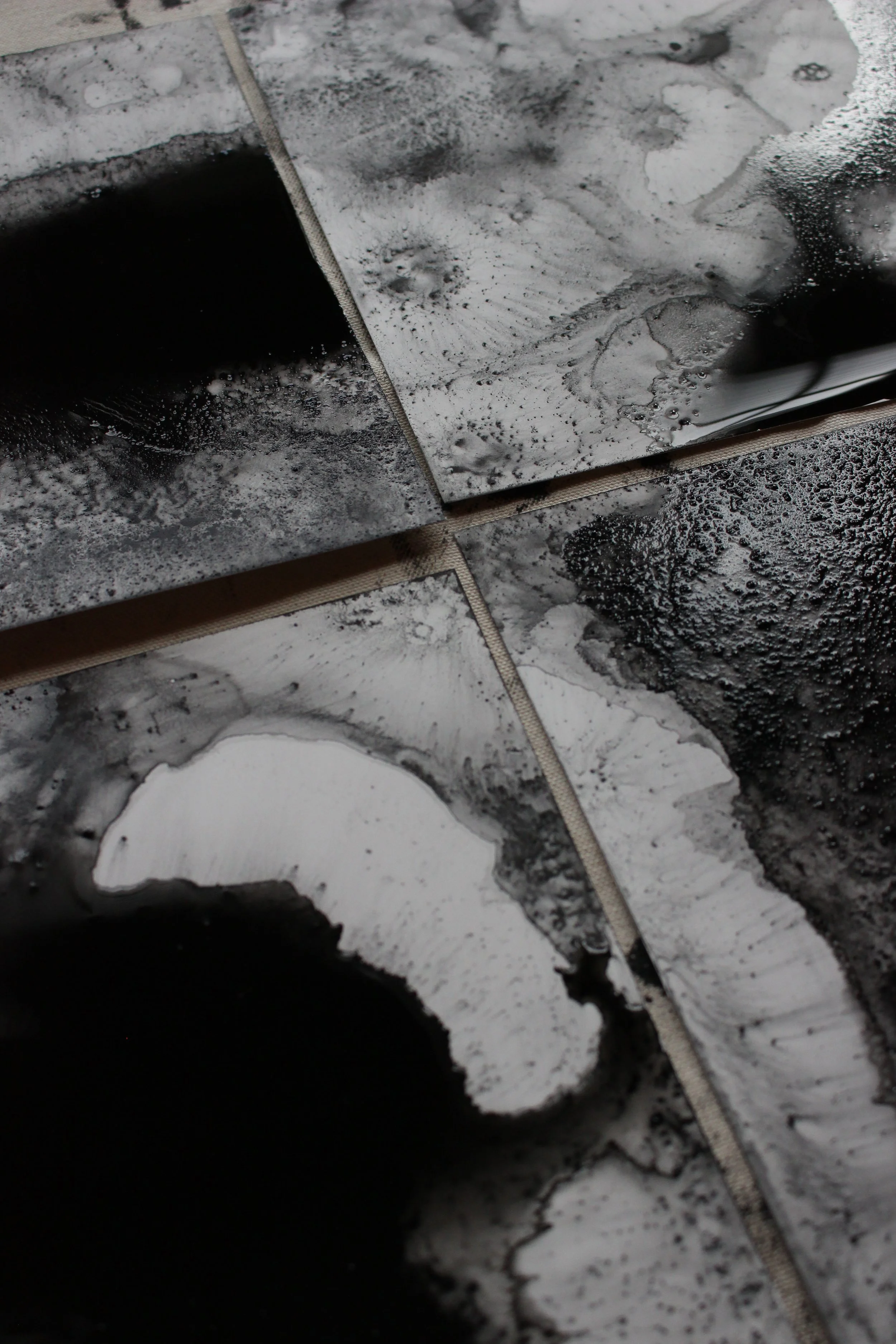 Charcoal Process- Kari Cahill workshops3.JPG