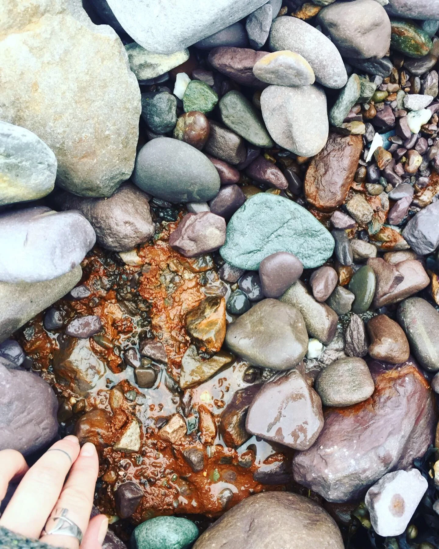 Kari Cahill. Cill Rialaig AIR. 4.JPG