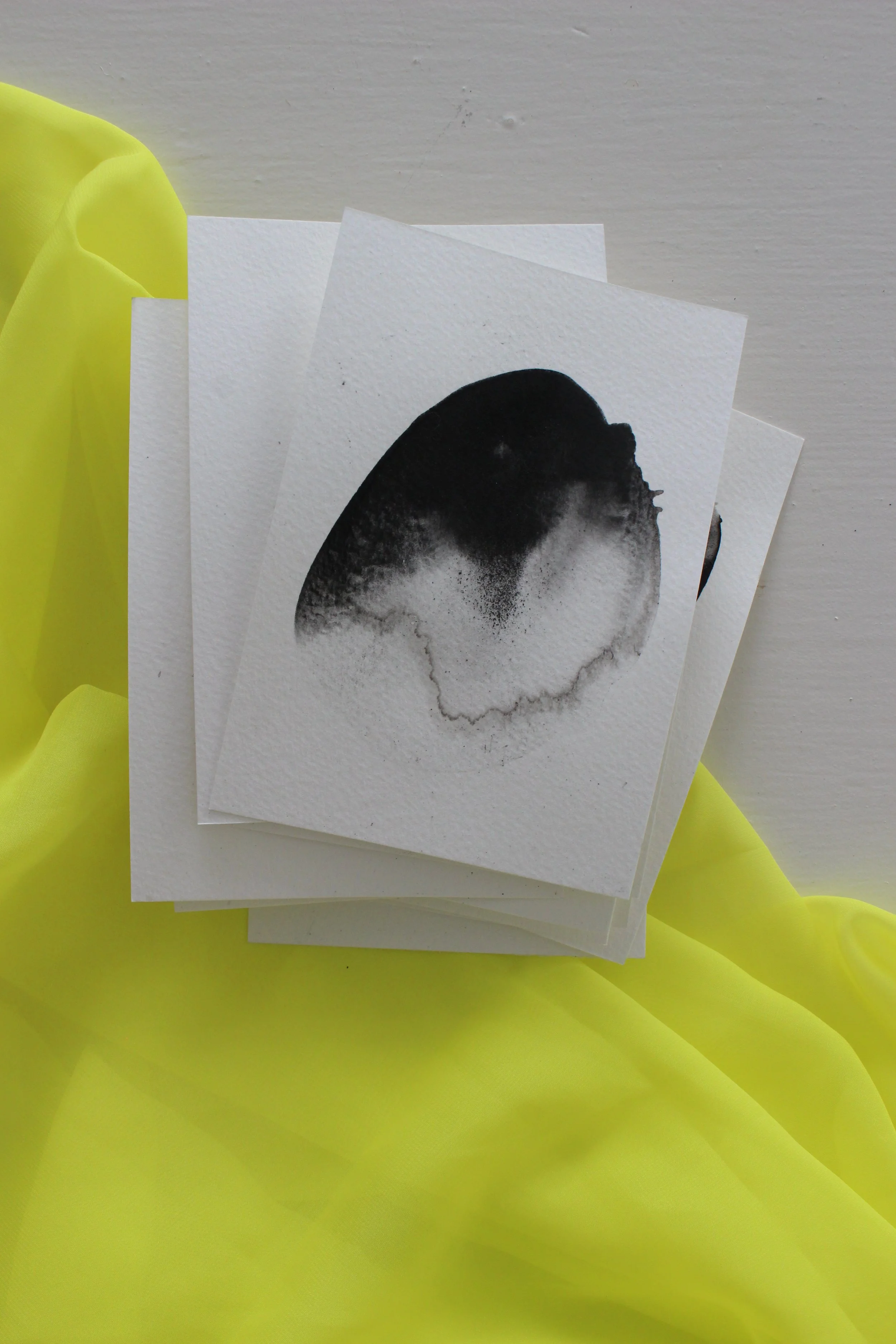 Kari Cahill - BLOTCHIMG_0199.JPG