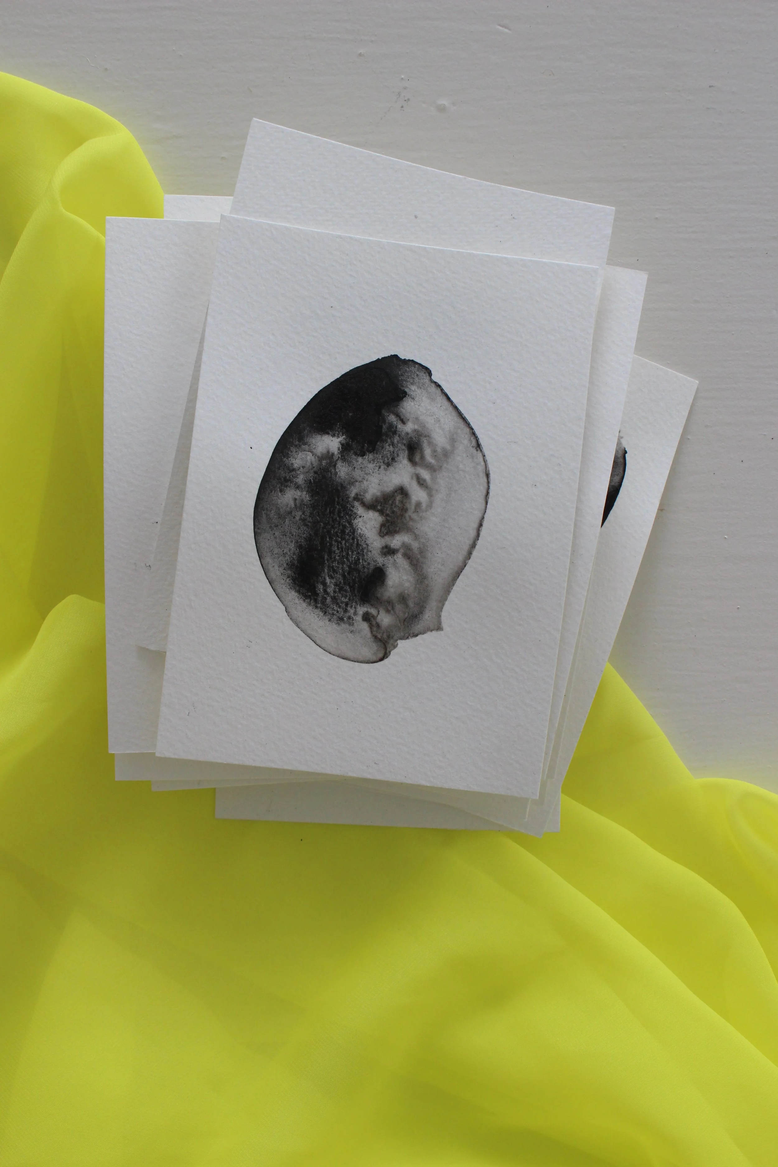 Kari Cahill - BLOTCHIMG_0202.JPG