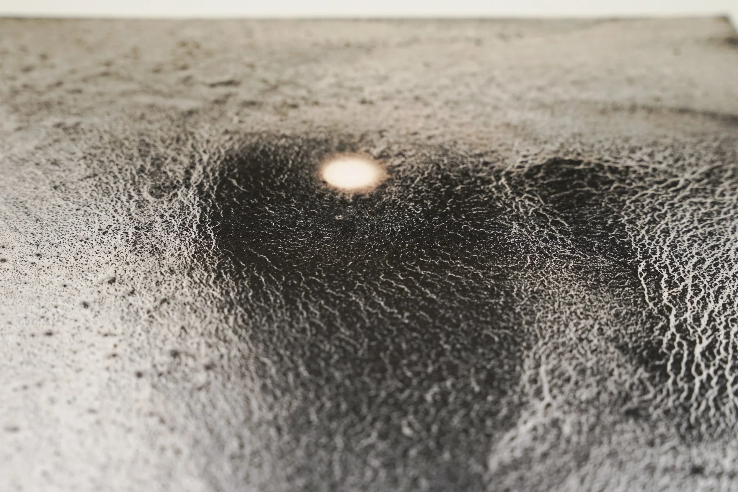 She Wanes, Within - Charred Gum Bark, Wine Gum Ink & Iron Gum Ink - 420 x 297 - 2023 -7.jpg