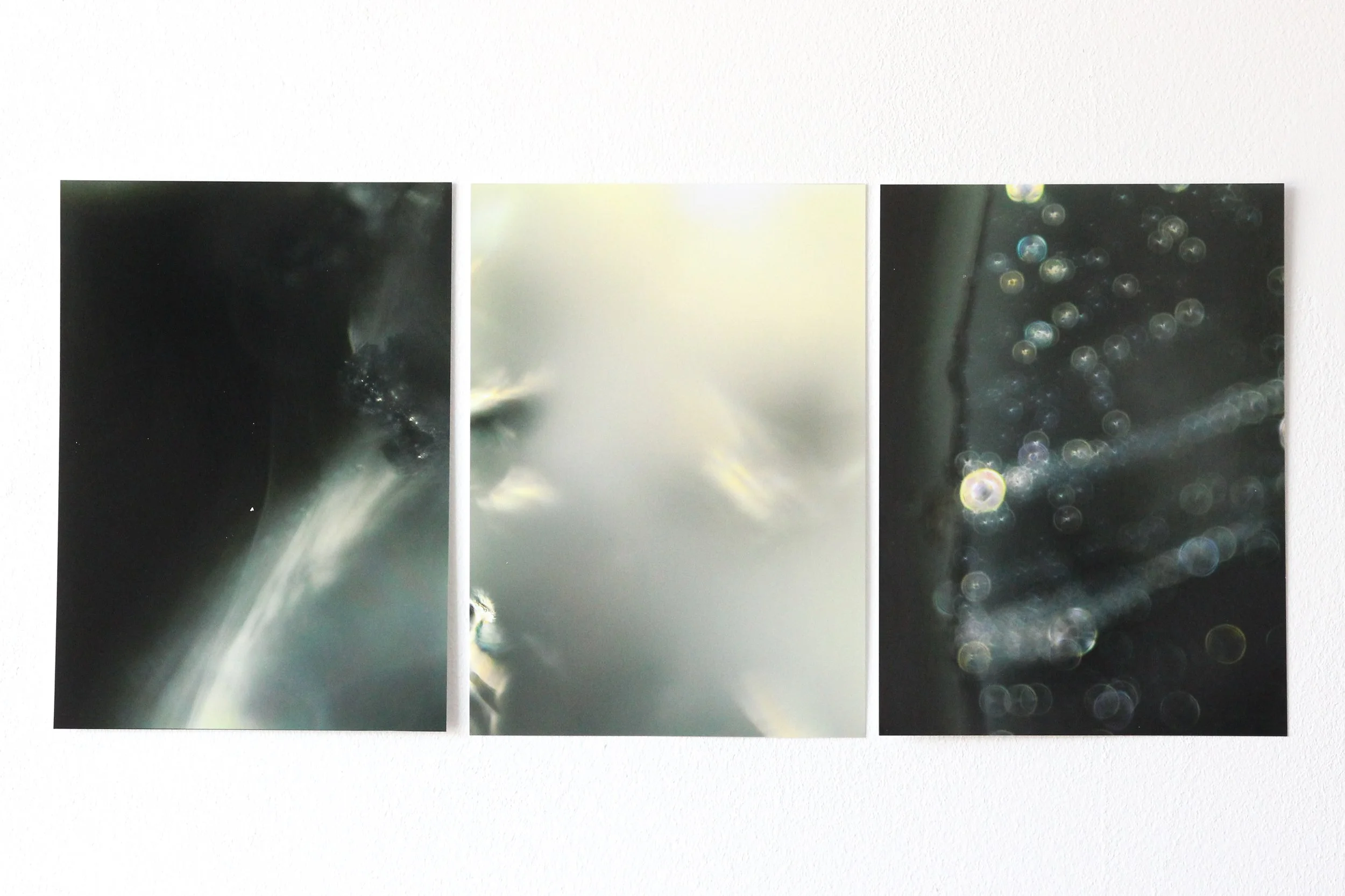 Visible Boundaries - Microscopic Photograph on Permajet Gloss 270 - 150 x 205 x 3.jpg