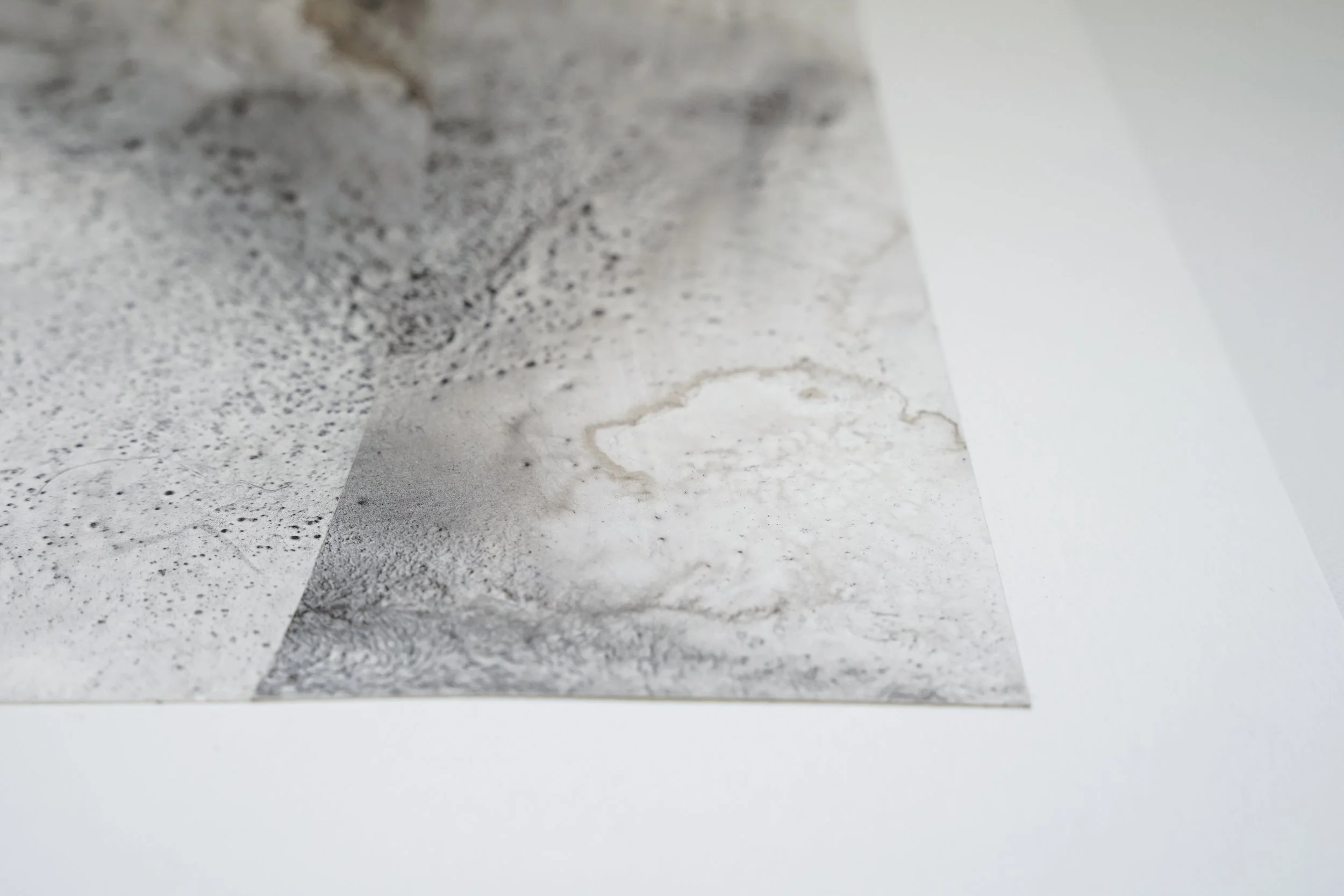 Glimpse Without Ghost - Charred Gum Bark & Iron Gum Ink - 420 x 297 - 2023 - 7.jpg