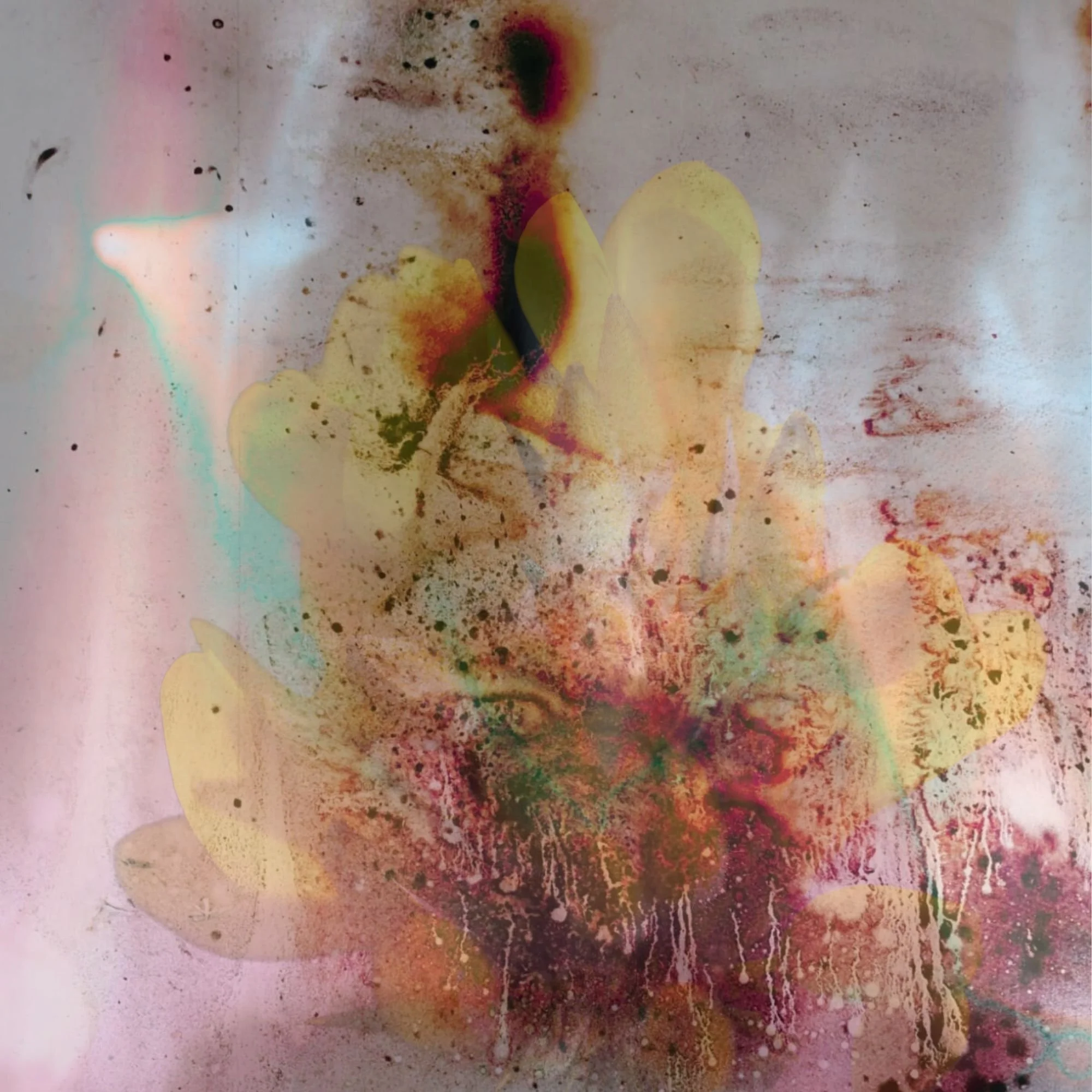 IN RITUAL - Anointing - Kari Cahill - no text.jpg