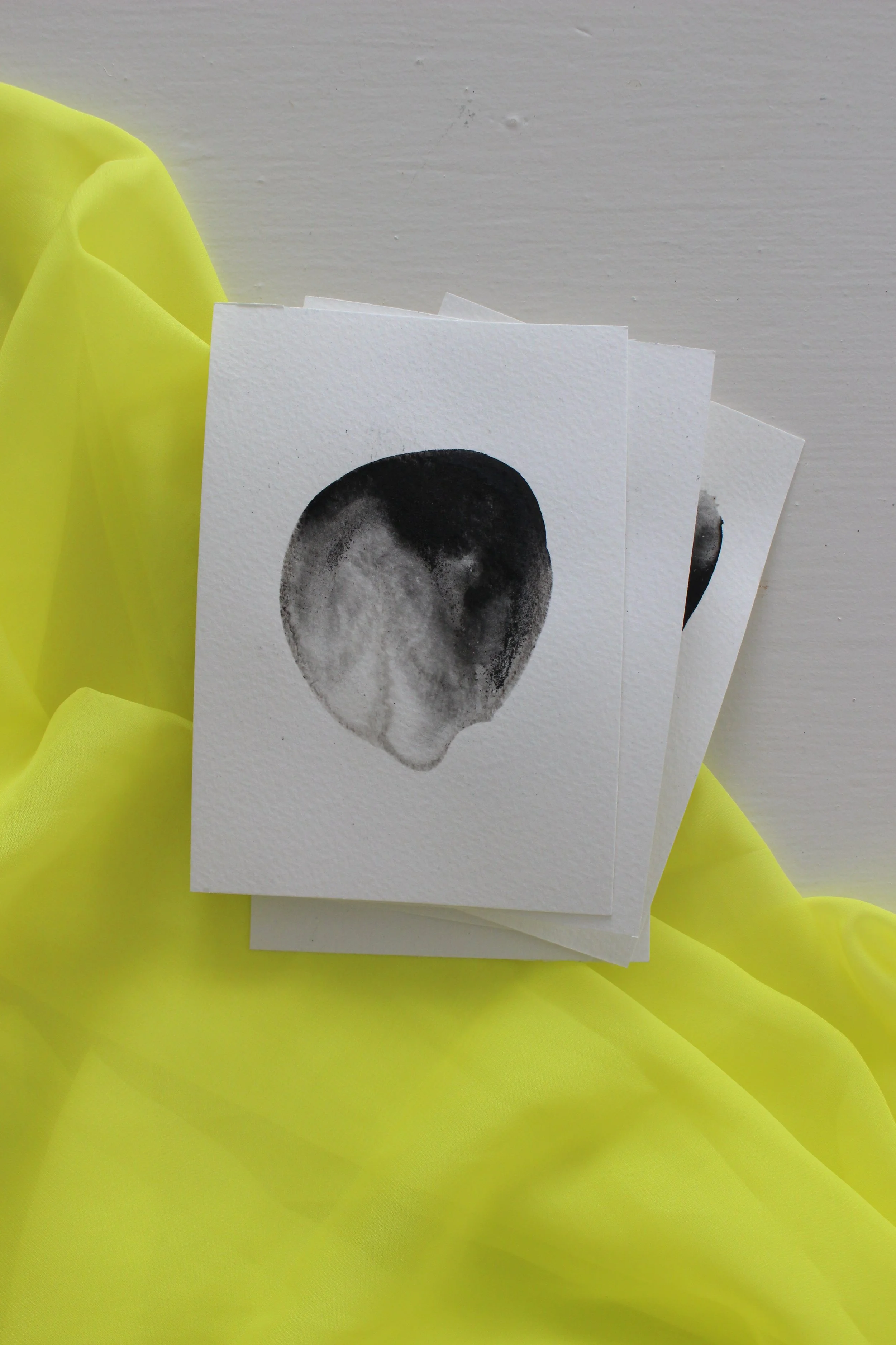 Kari Cahill - BLOTCHIMG_0190.JPG