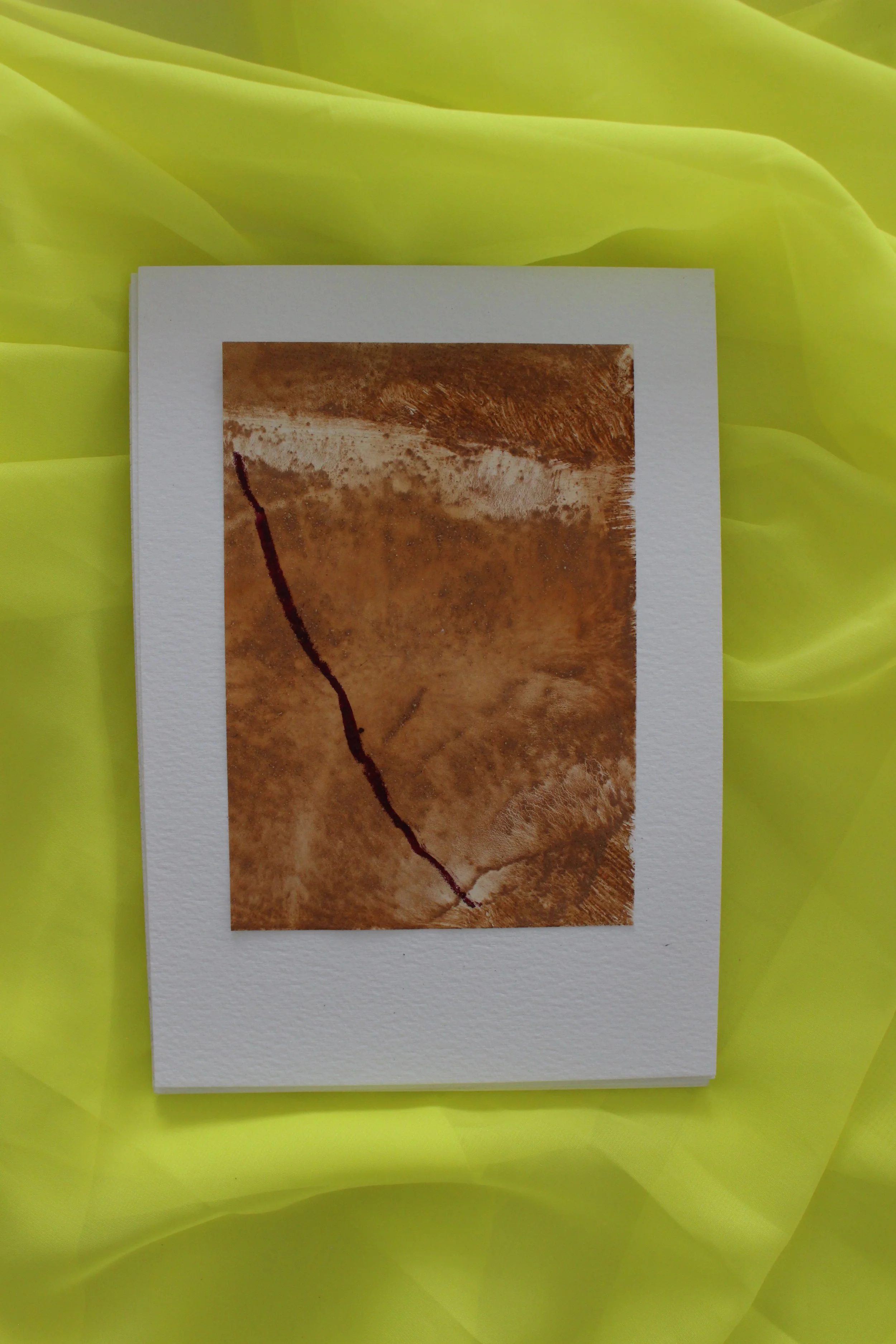 Kari Cahill - A5 SINGLEIMG_0184.JPG