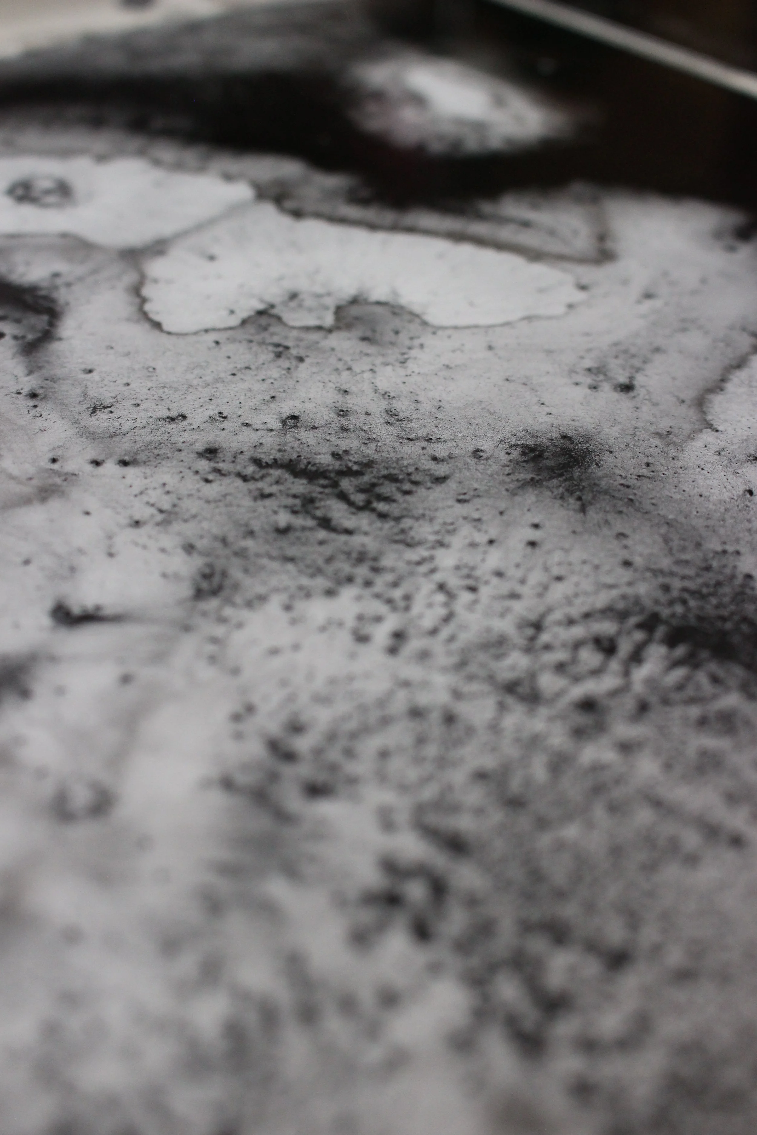 Charcoal Process- Kari Cahill workshops7.JPG