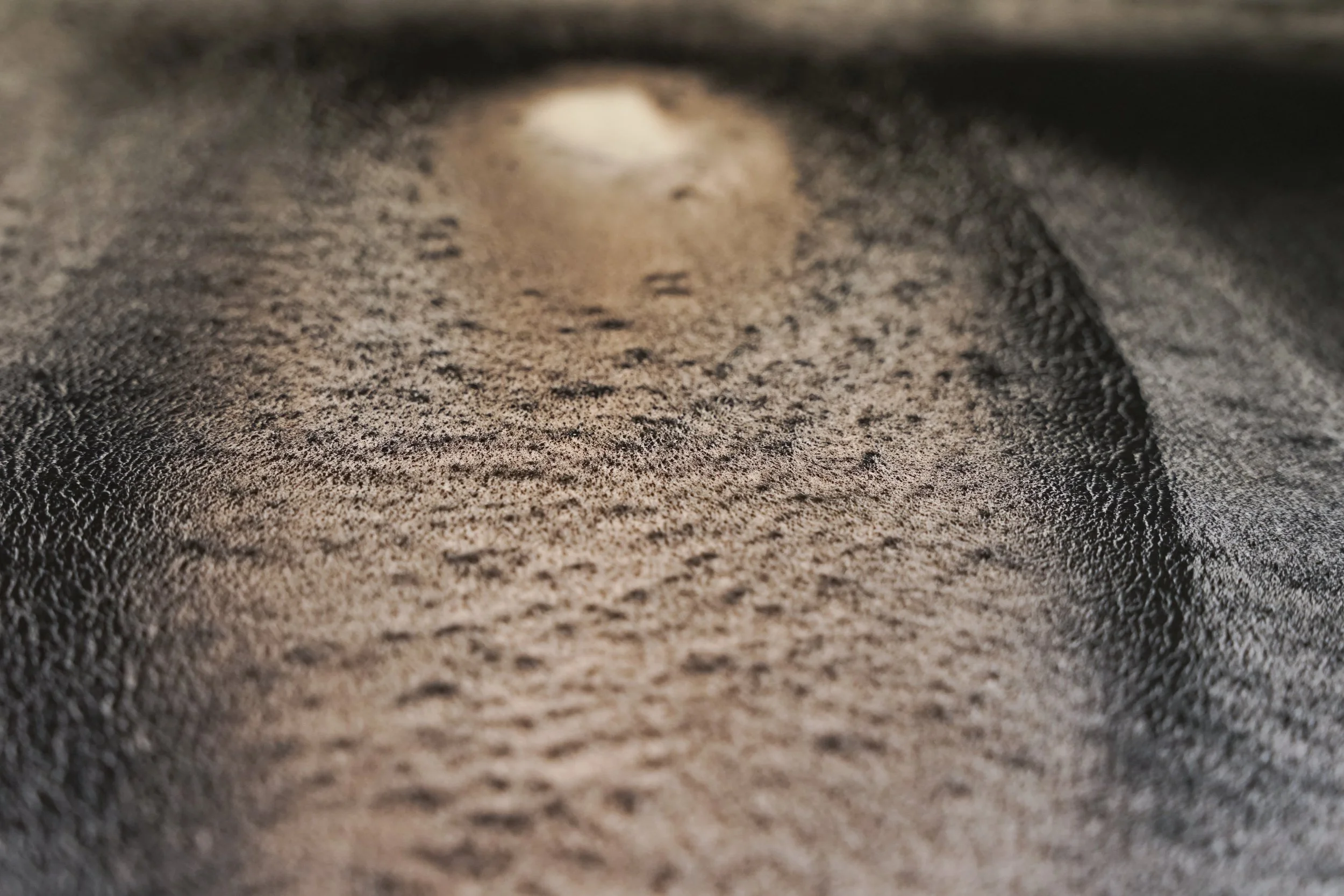 She Wanes, Without - Charred Gum Bark, Wine Gum Ink & Iron Gum Ink - 420 x 297 - 2023 - 21.jpg