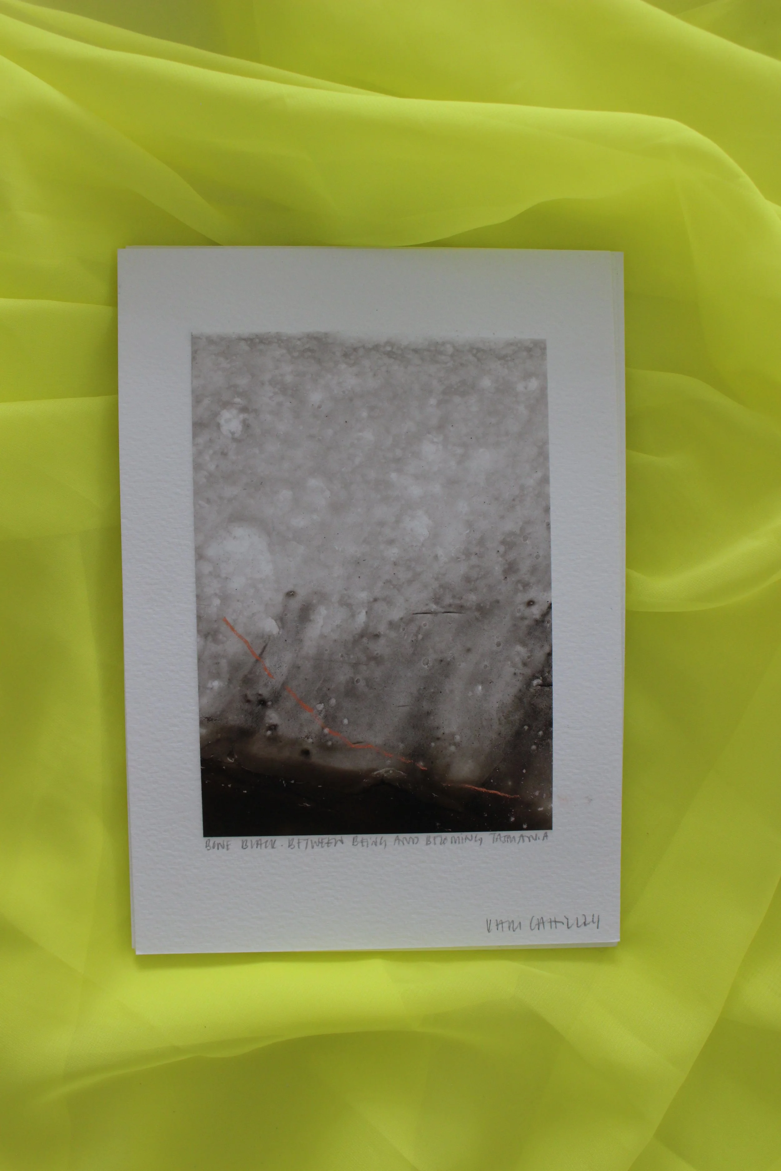 Kari Cahill - A5 SINGLEIMG_0180.JPG