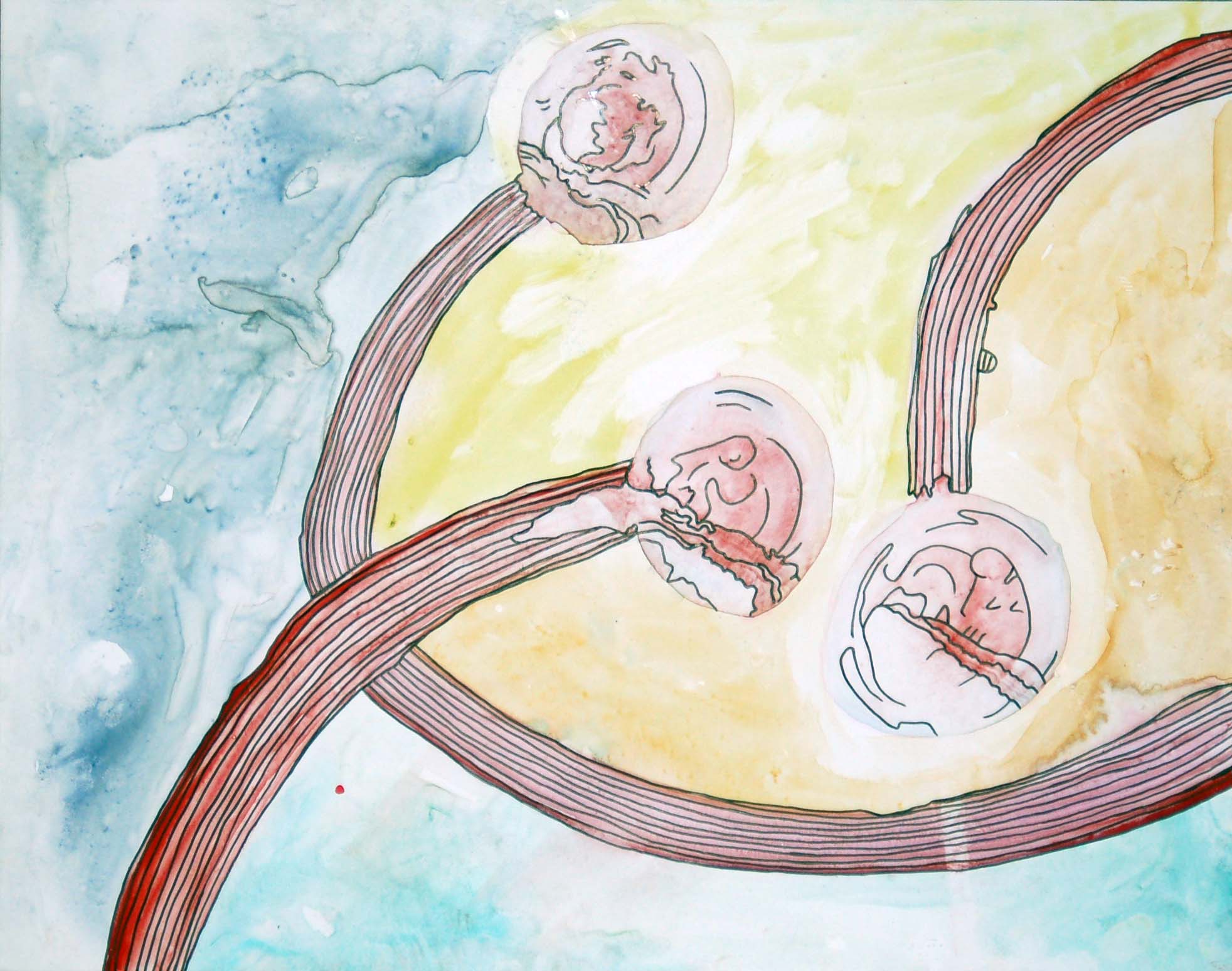 Fetal