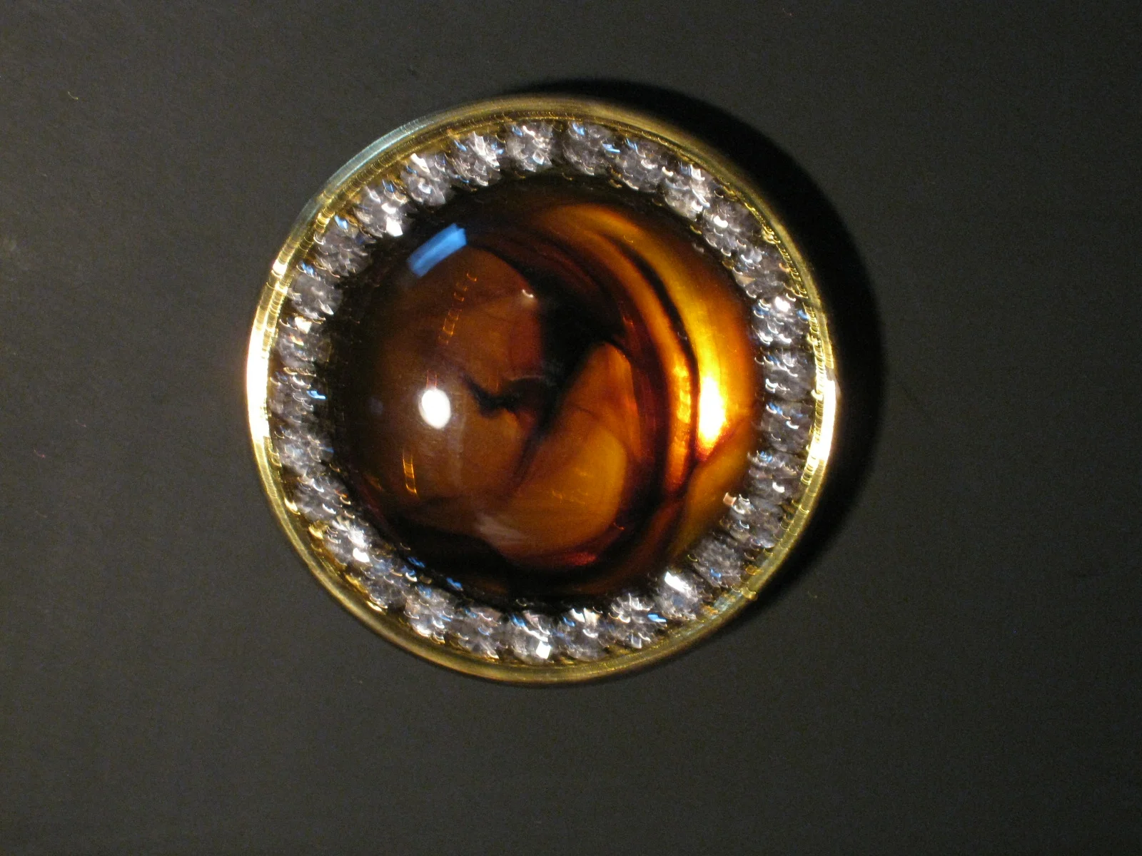 tortiose_shell_pin.jpg
