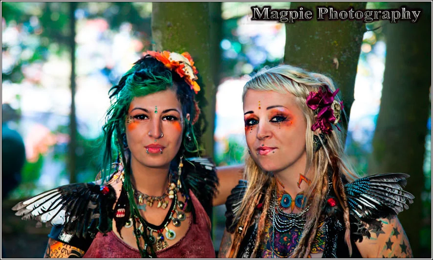 Festival fans