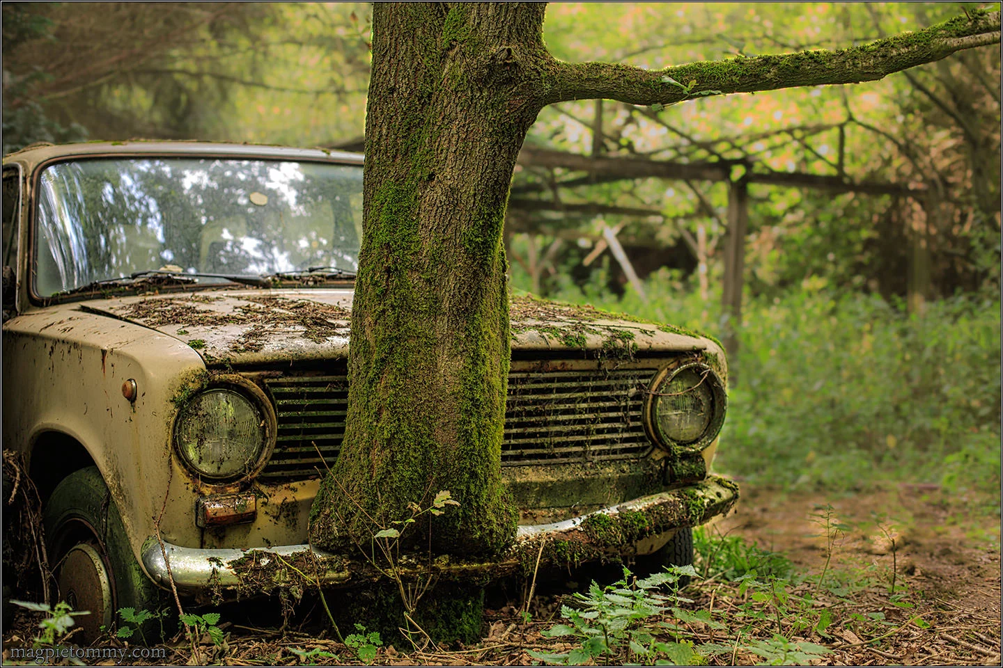 Nature will always find a way