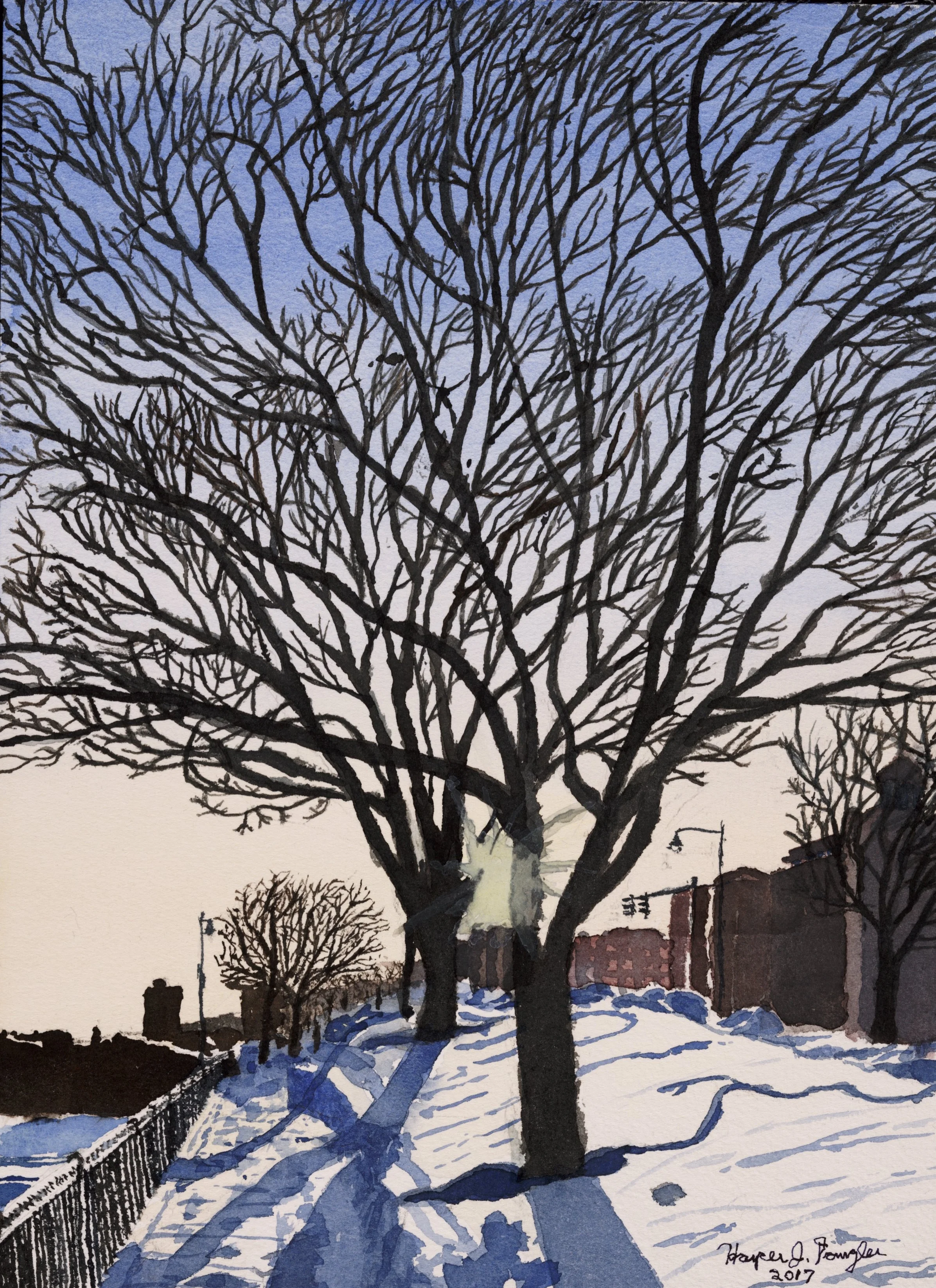 Winter Trees by the Charles