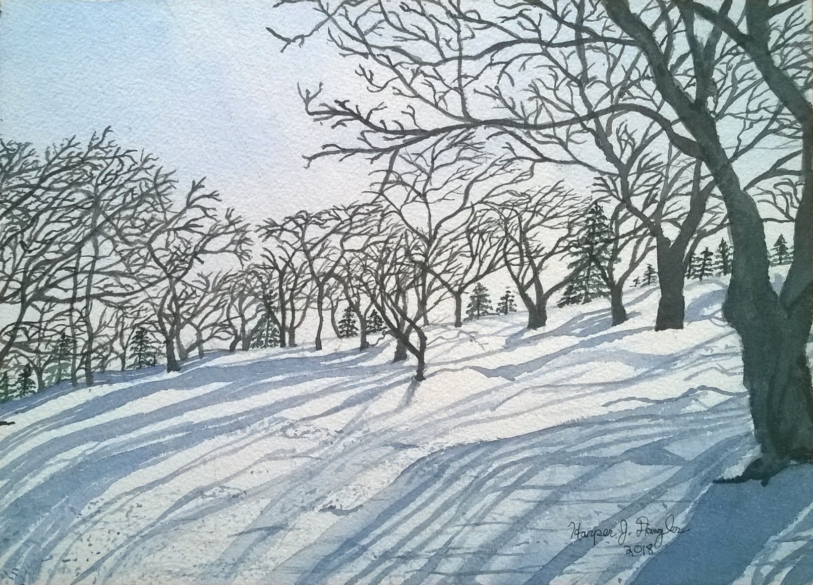 Winter's Long Shadows on Peter's Hill