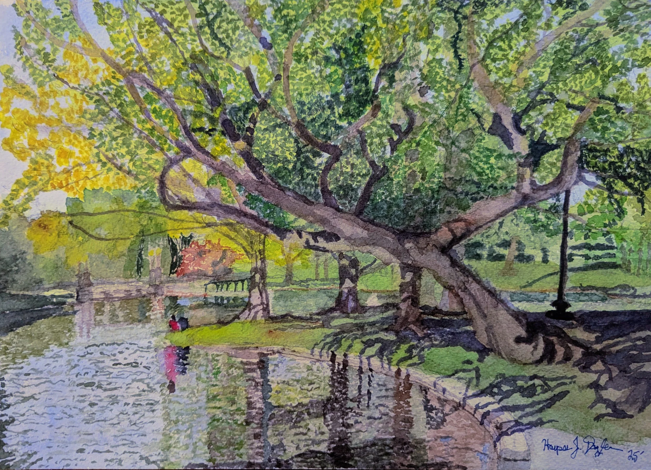 Leaning Toward the Light