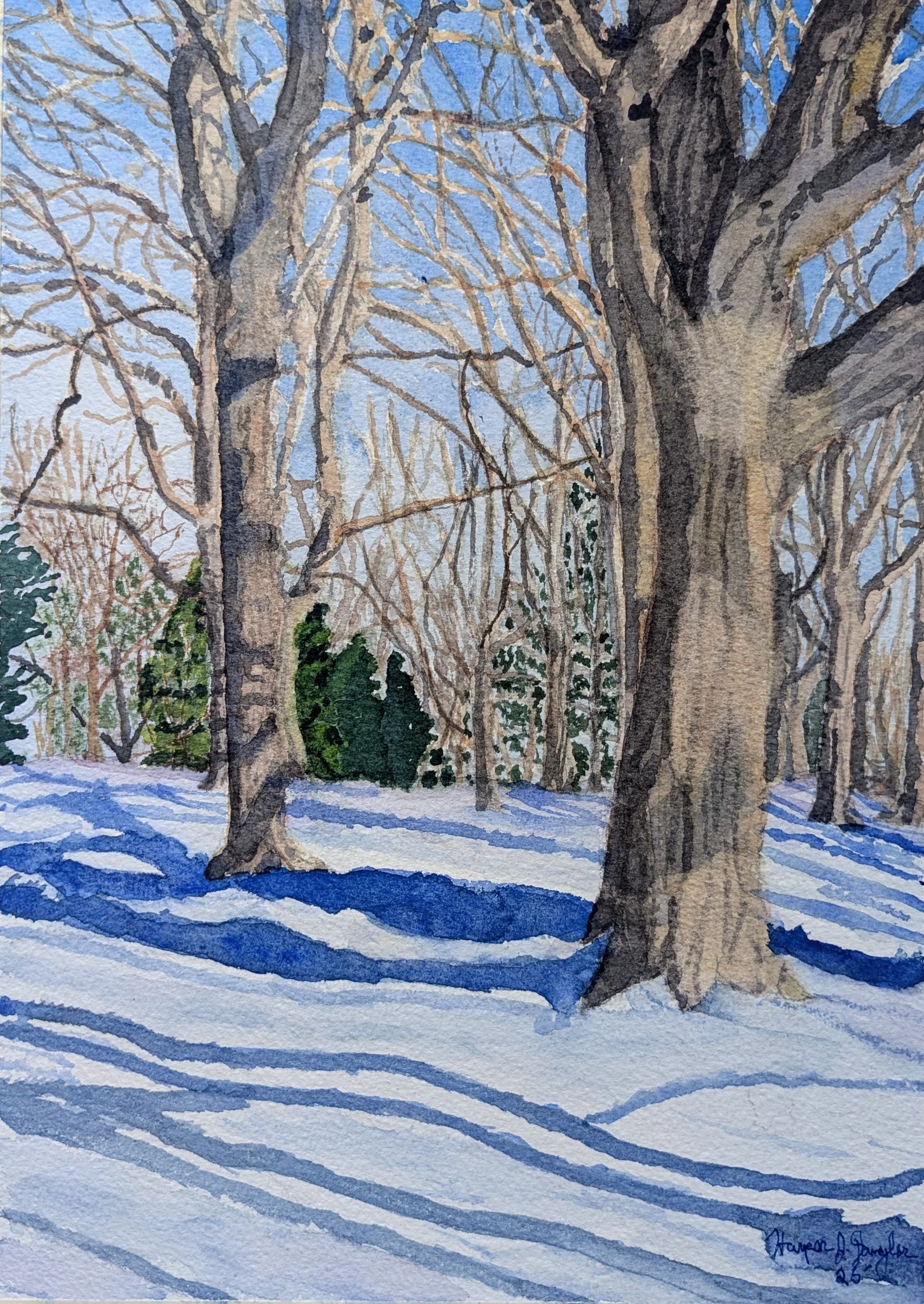 Golden Hour Shadows on Peters Hill