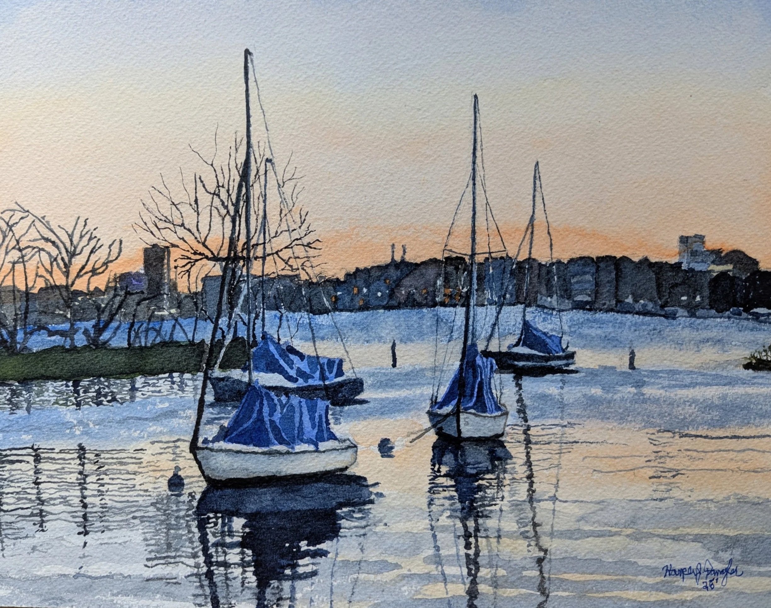 Community Sailboats at Sunset - Boston