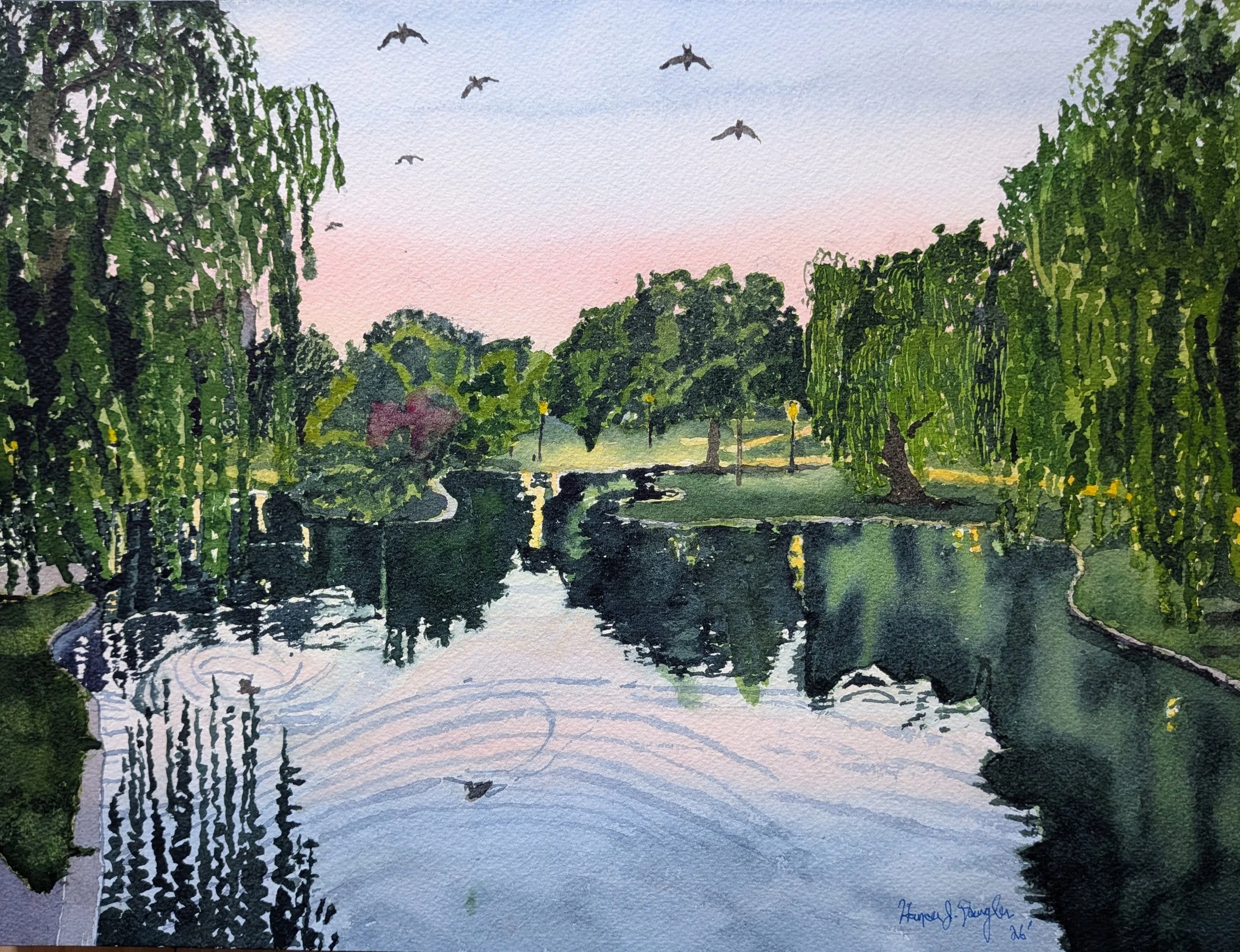 Swifts' Serenade of the Pond