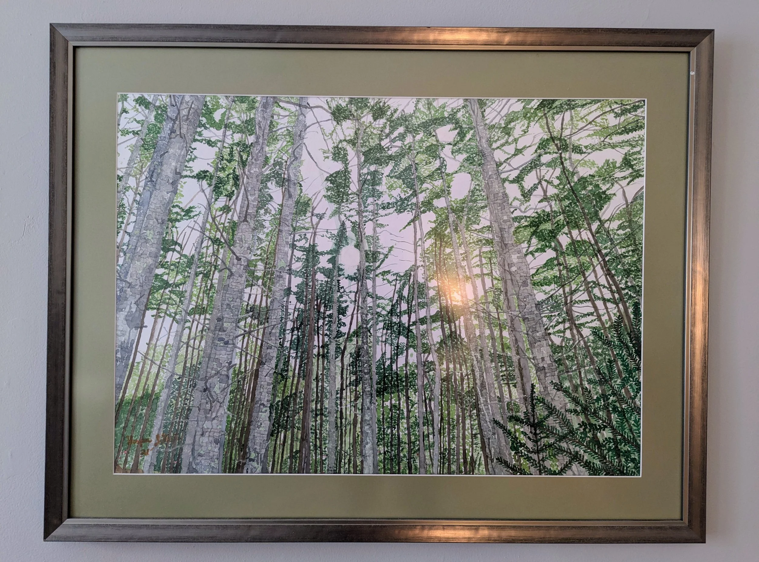 Framed Mighty Spruce painting.jpg