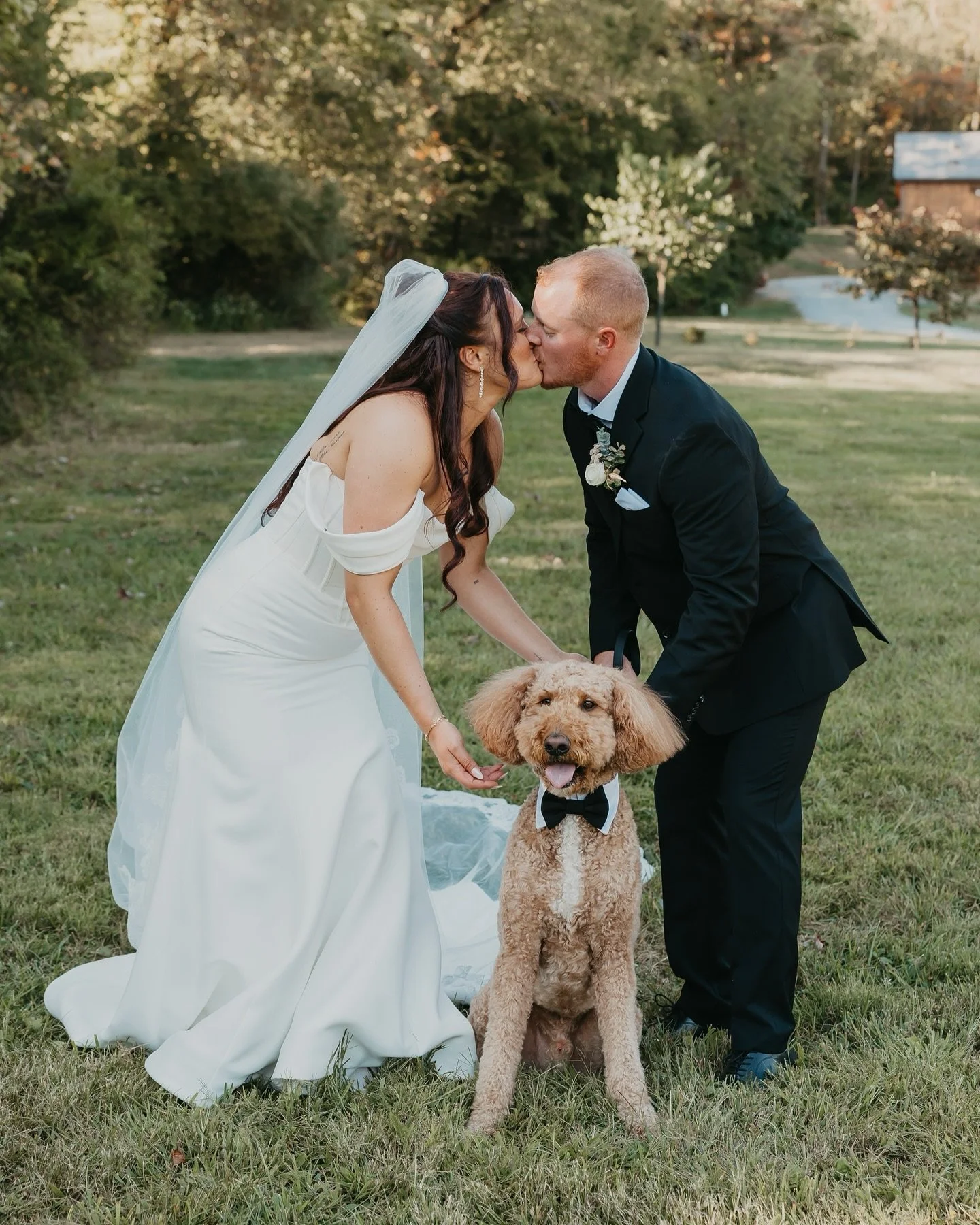 Let&rsquo;s hear it for perfect September weddings 👏🏼👏🏼👏🏼👏🏼👏🏼 congrats to Archie&rsquo;s parents aka the coolest people around!

Venue: @glenedenbarn 
Dress: @onewhitelane 
DJ: @loyaltyentertains 
Video: @meholicproductions 
Doggy daycare: 