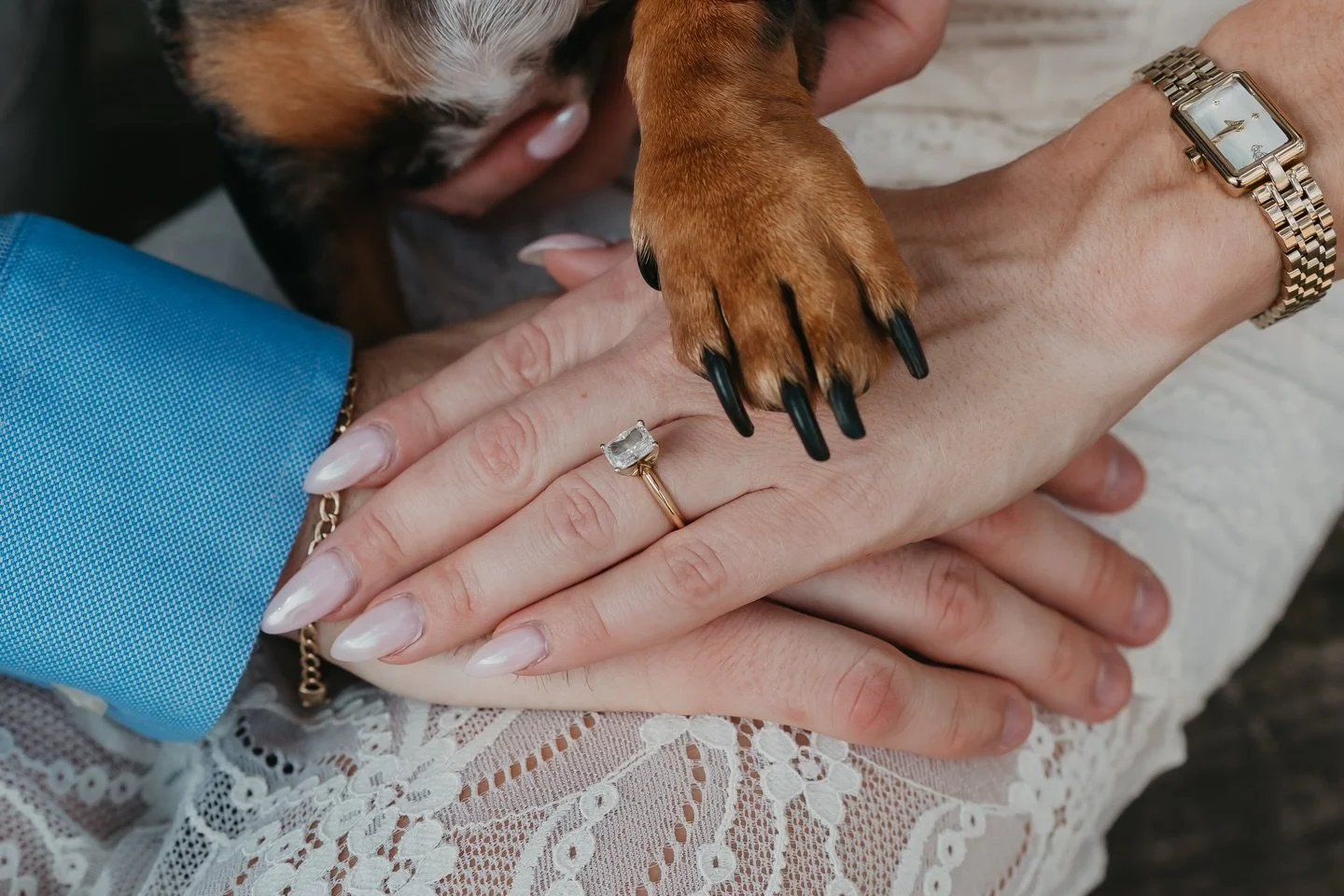 PSA for all my dog owners out there - they deserve to be at the photoshoot too 🐶 🤍