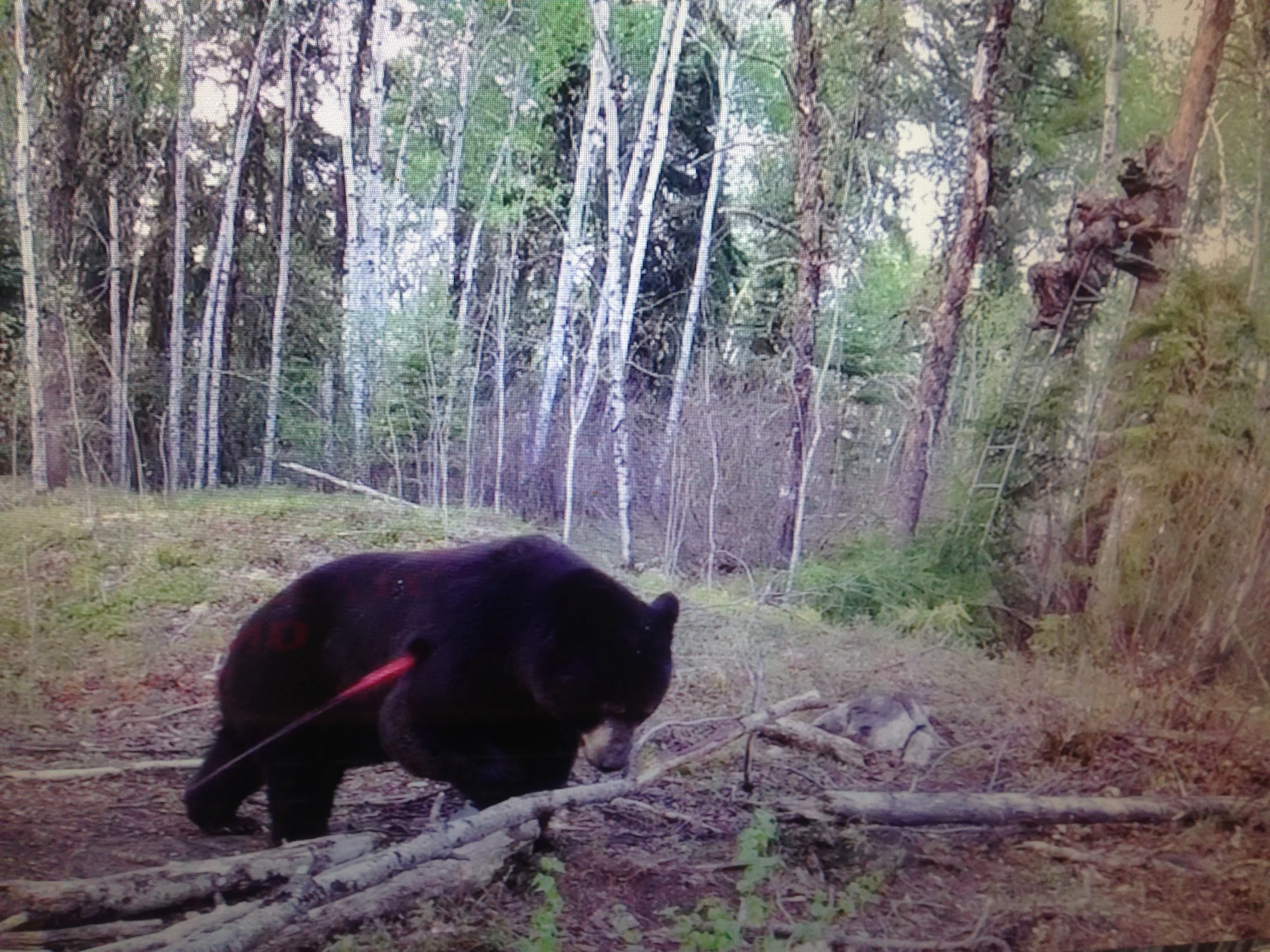 Chris Brackett of Fear No Evil and Brackett Outdoors