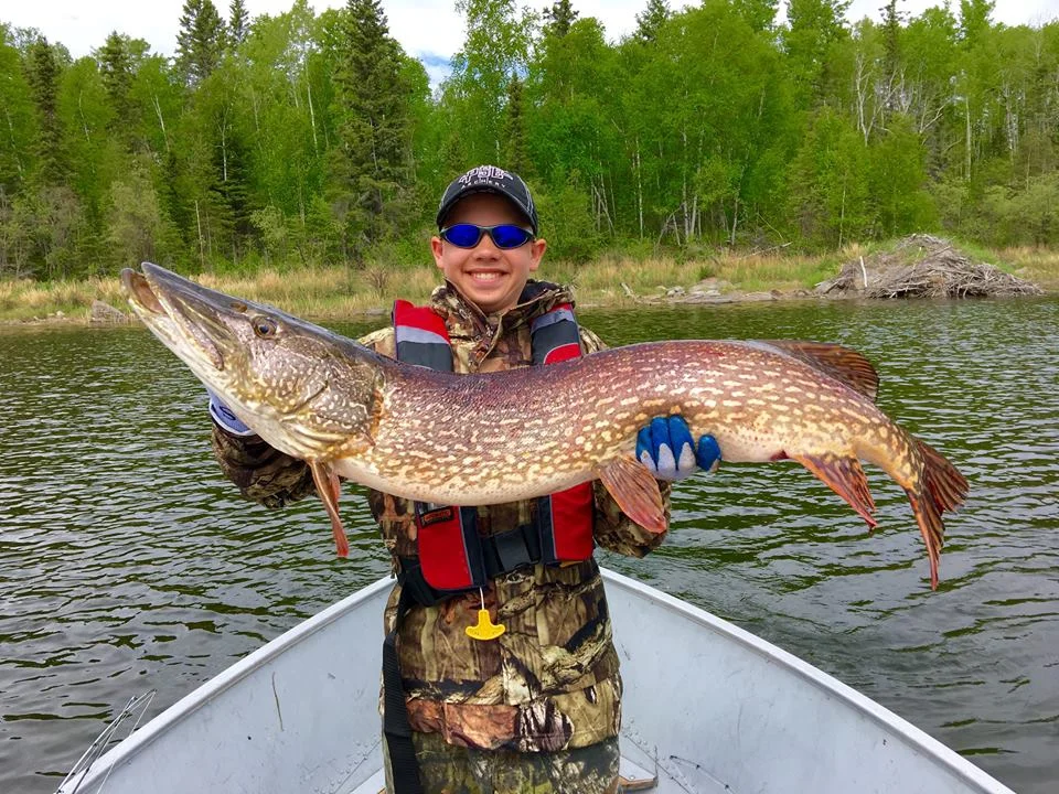 Jacob O'Dell with a 52.5" Northern pike caught at Black Bear Island Lodge