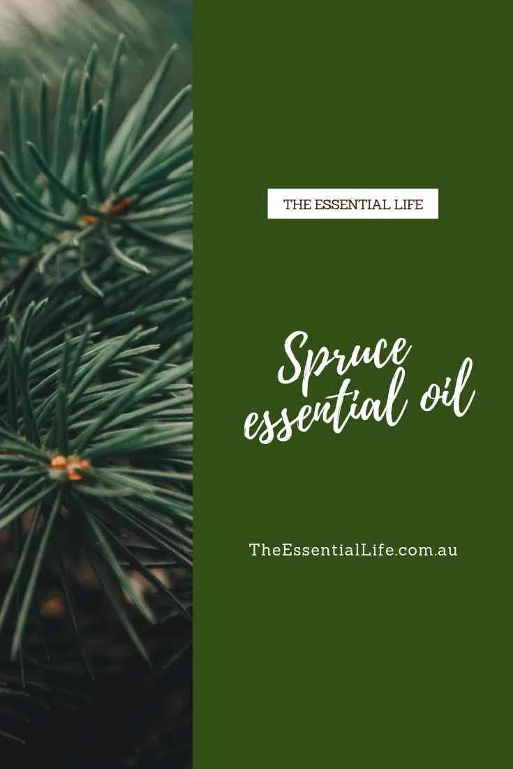 Spruce essential oil.jpg