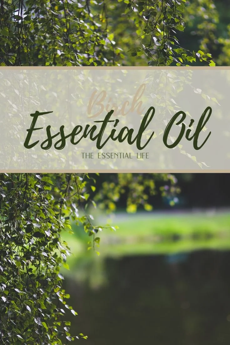 Birch Essential Oil_ The Essential Life.jpg