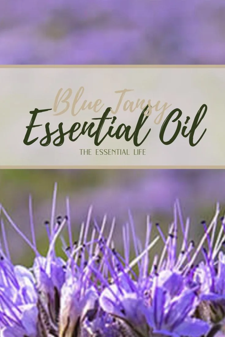 Blue Tansy Essential Oil_ The Essential Life.jpg