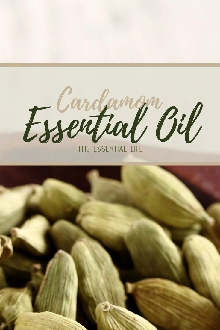 Cardamom Essential Oil_ The Essential Life.jpg