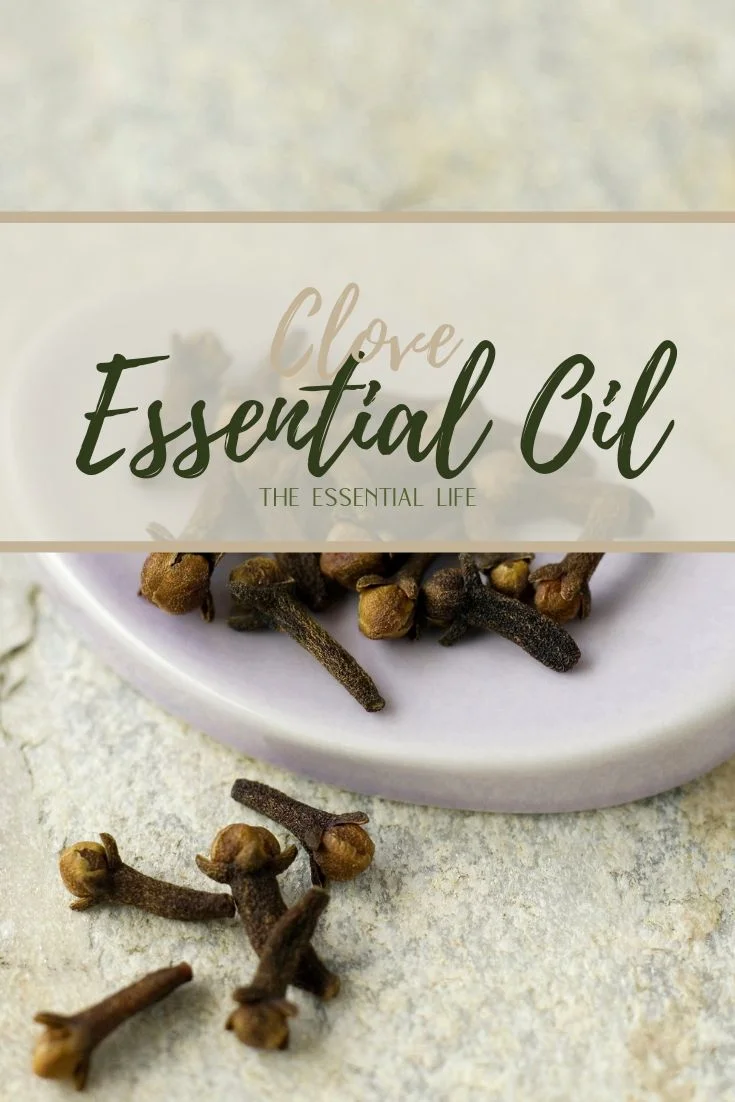 Clove Essential Oil_ The Essential Life.jpg
