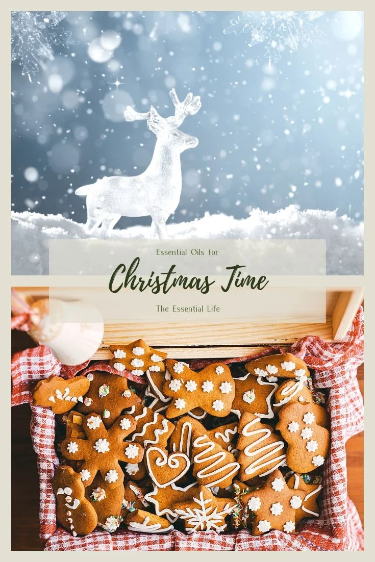 Essential Oils for Christmas Time_ The Essential Life.jpg