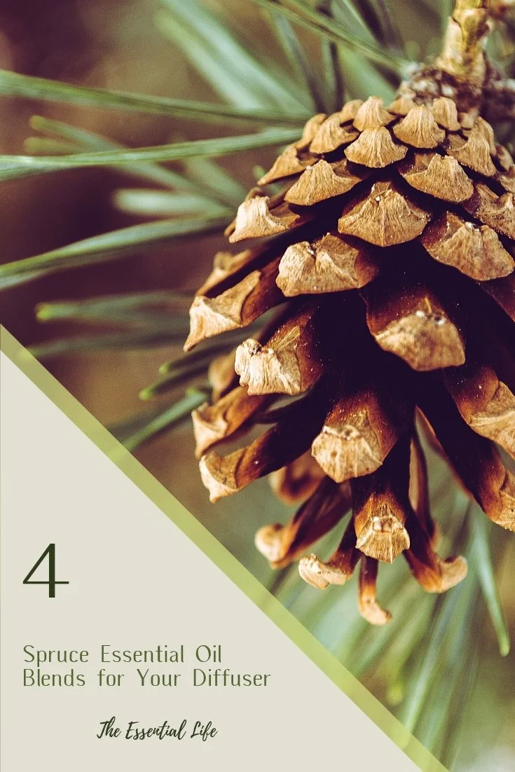 4 Spruce Essential Oil Blends for Your Aromatherapy Diffuser_ The Essential Life.jpg