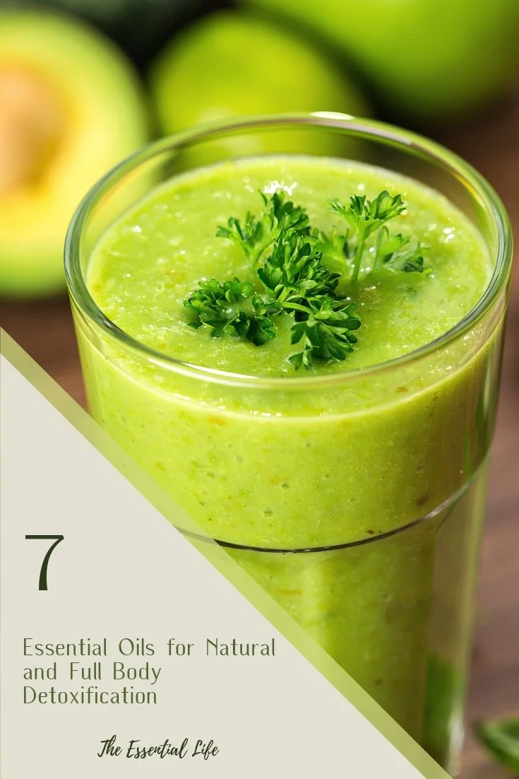 7 essential Oils for Natural and Full Body Detoxification_ The Essential Life.jpg