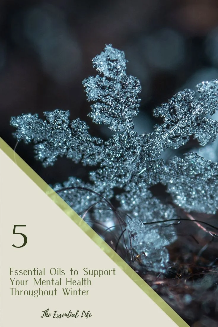 5 Essential Oils to Support Your Mental Health Throughout Winter_ The Essential Life.jpg