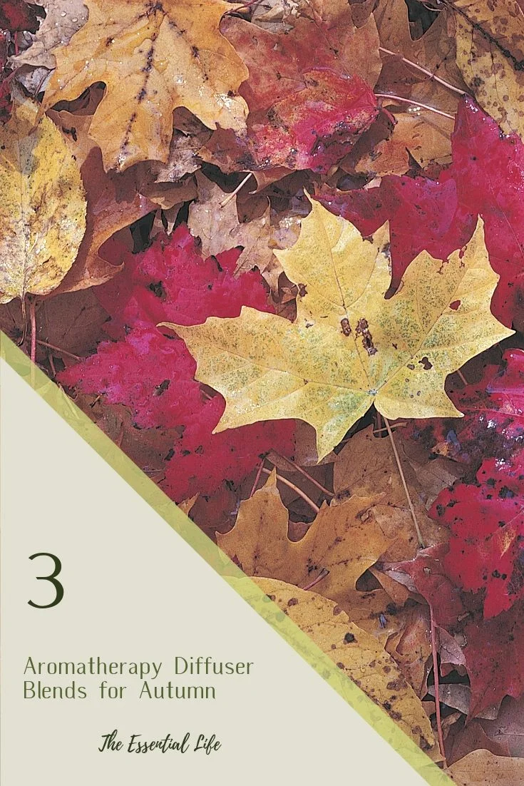 3 Aromatherapy Diffuser Blends for Autumn_ The Essential Life.jpg
