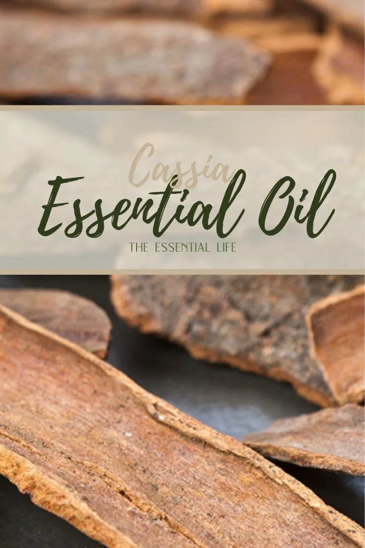 Cassia Essential Oil_ The Essential Life.jpg