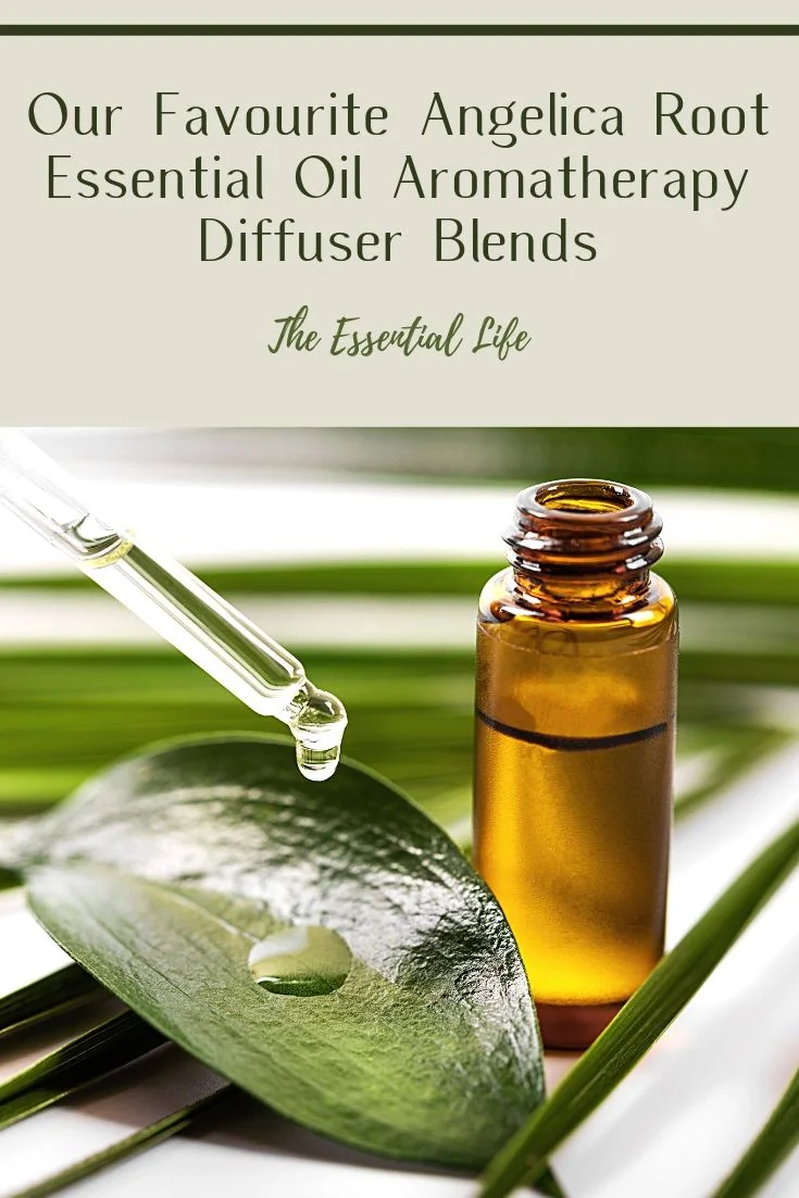 Our Favourite Angelica Root Essential Oil Aromatherapy Diffuser Blends_ The Essential Life.jpg